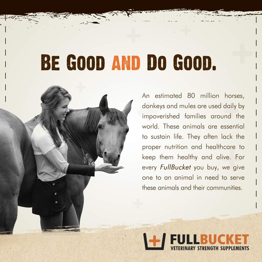 Equine Anti-Diarrhea Supplement with Saccharomyces Cerevisiae Boulardii - 40 Billion CFUs - 1 Tube