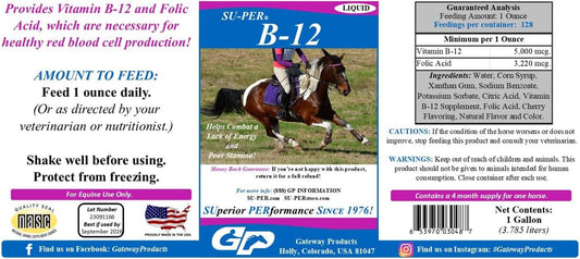 Equine B-12 Energy Supplement with Folic Acid - Liquid Support for Stamina & Red Blood Cell Production - Gallon Size, 4 Months Supply