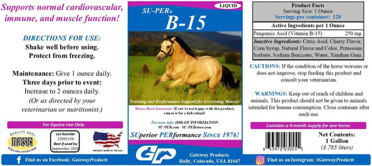 Equine B-15 Vitamin Liquid Supplement for Performance Support - Supports Cardiovascular, Immune, & Muscle Function - 1 Gallon, 4 Month Supply