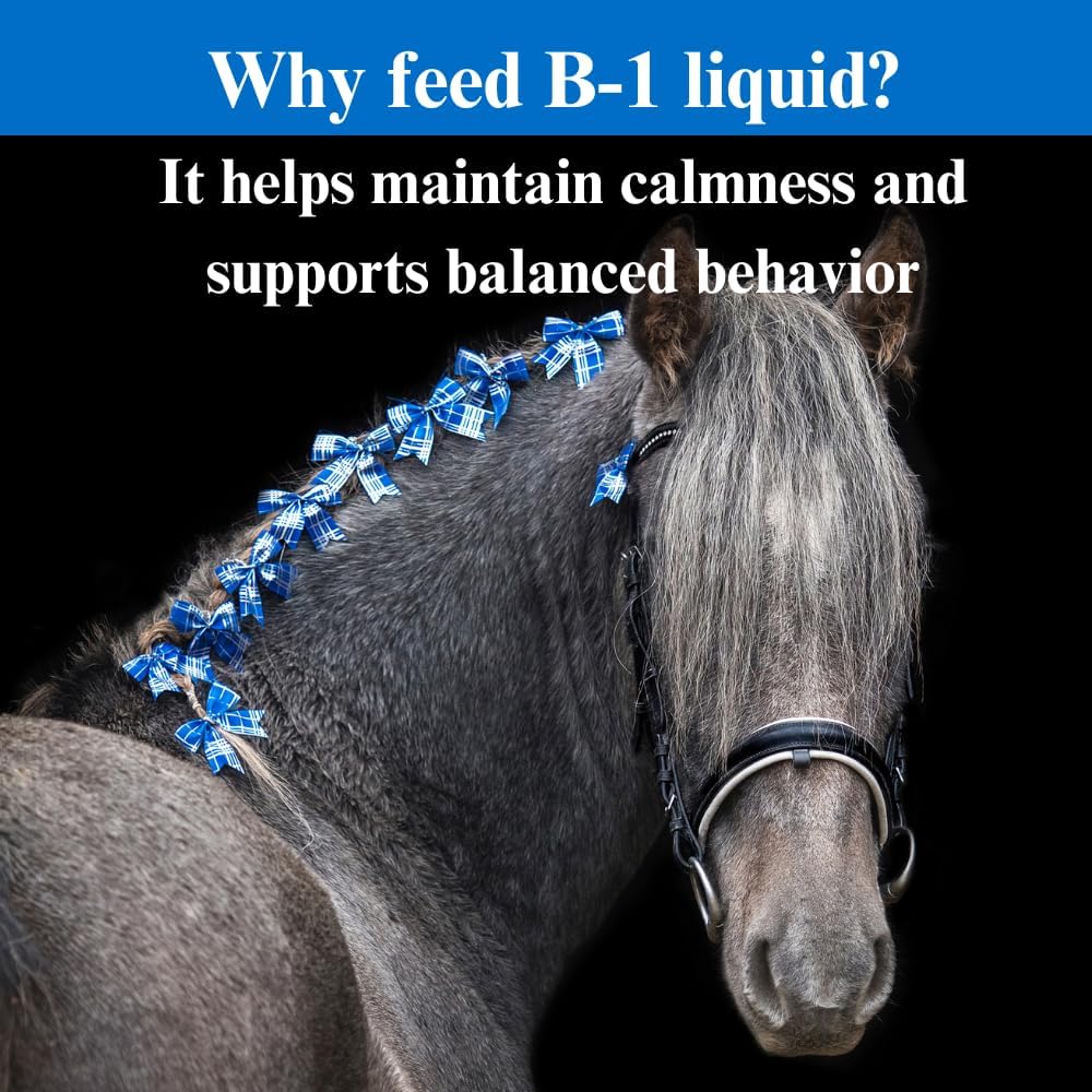 Equine Calming Liquid Supplement with Vitamin B-1 - Horse Calmer and Appetite Booster - 1 Quart, (2 Pack)