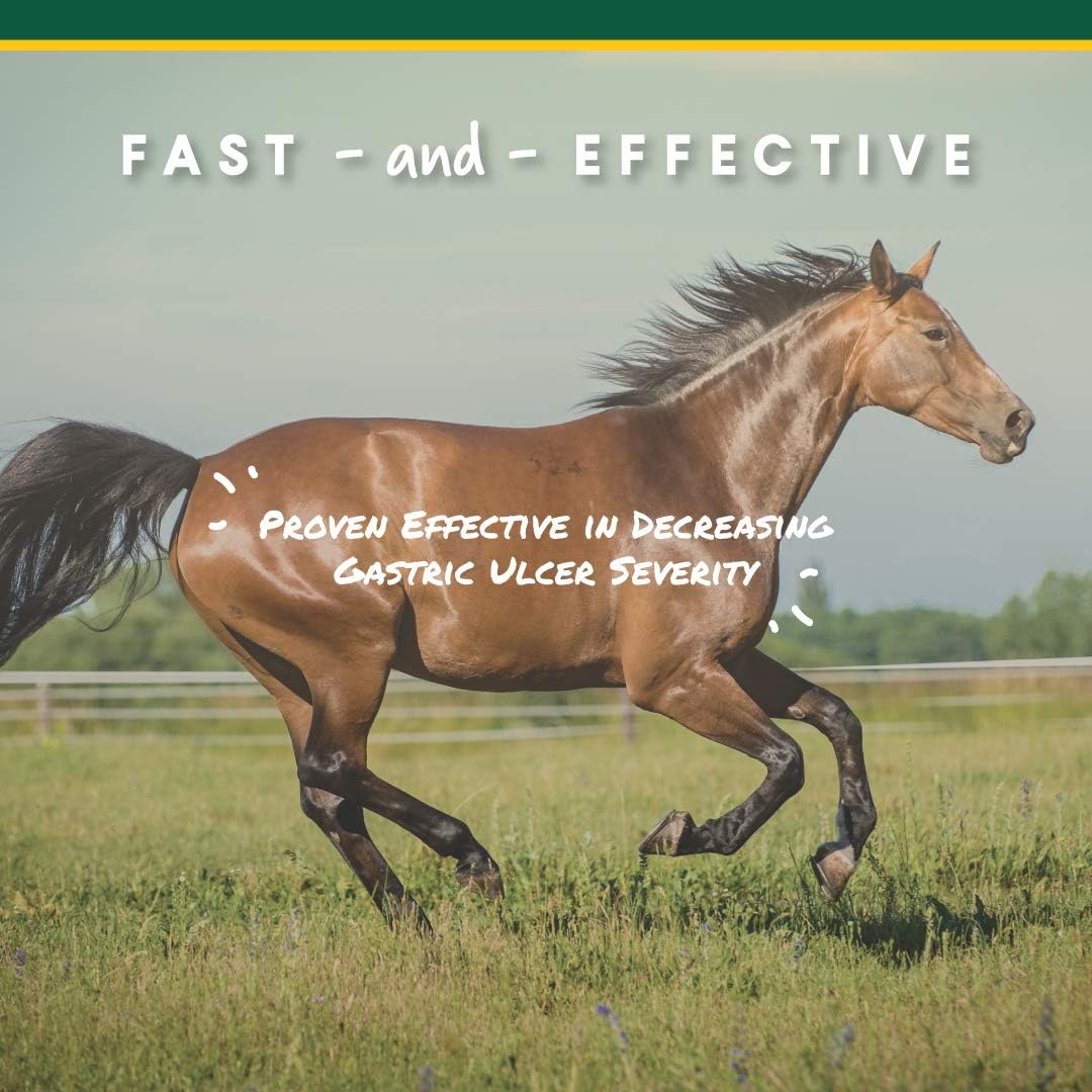 Equine Digestive Supplement: Manna Pro Corta-Flx U-Gard Pellets - Maintain Gastric Health, Prevent Ulcers - 10 LB