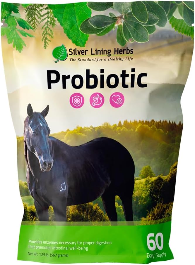 Equine Digestive Support Probiotic - Micro Encapsulated Horse Probiotics for Healthy Gut - Natural Source of Bacteria and Enzymes - 1.25 lb Bag