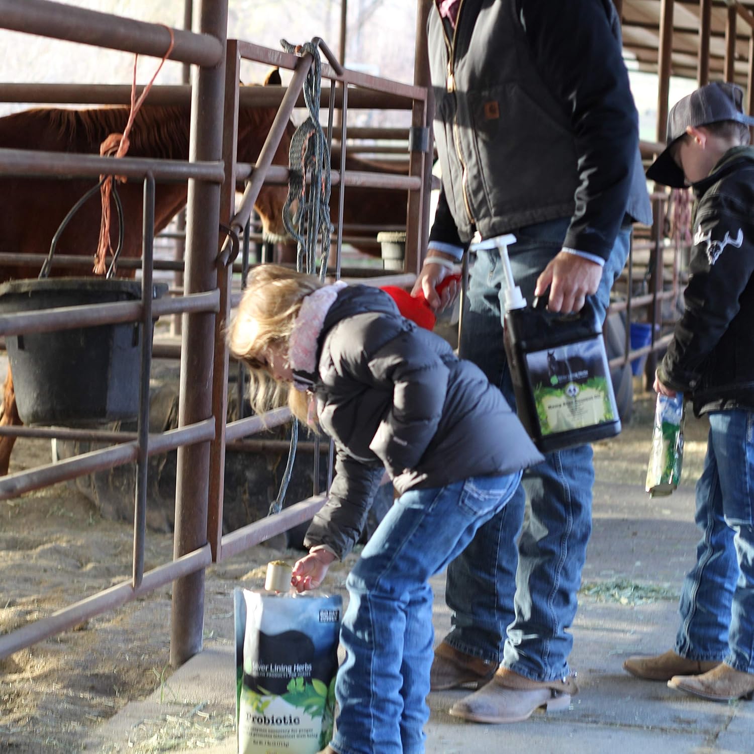 Equine Digestive Support Probiotic - Micro Encapsulated Horse Probiotics for Healthy Gut - Natural Source of Bacteria and Enzymes - 1.25 lb Bag