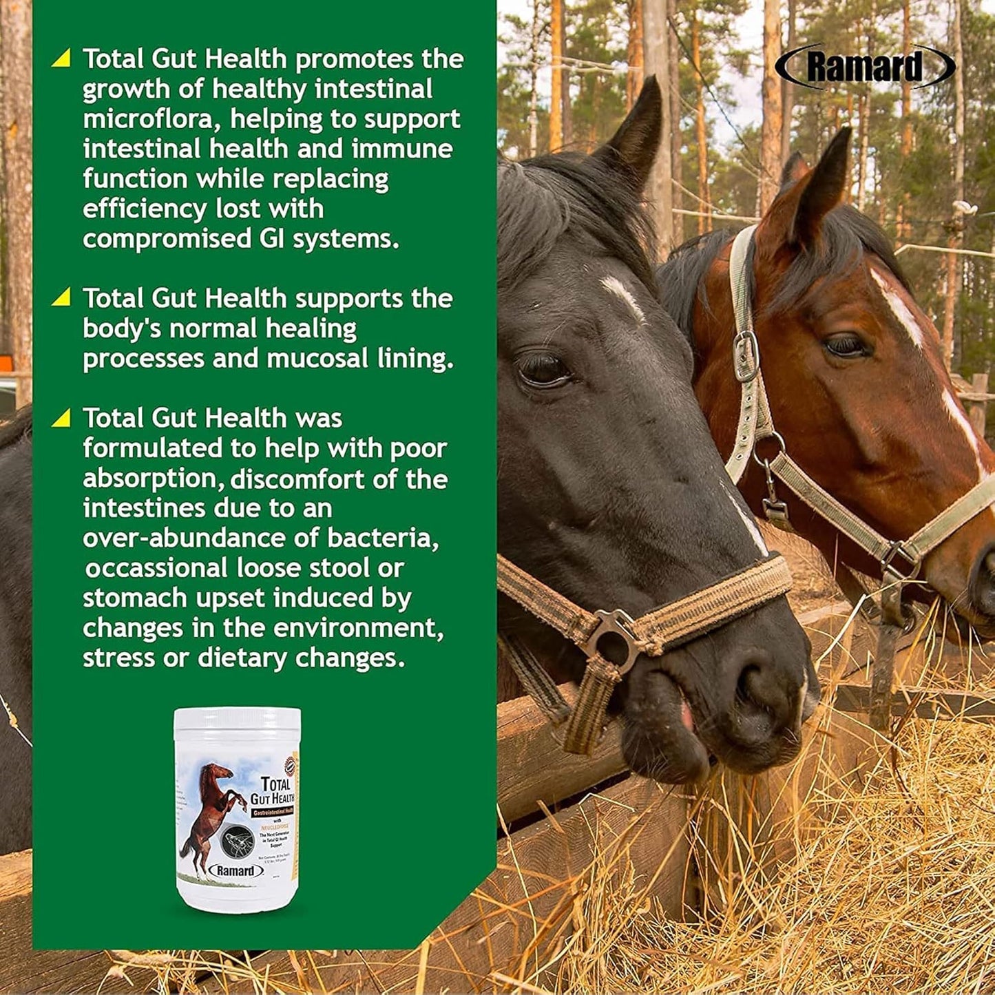 Equine Digestive Support Supplement for Healthy Gut & Gastric Relief - Probiotics & Vitamins for Horses, Optimum Digestive Health - 30-Day Supply