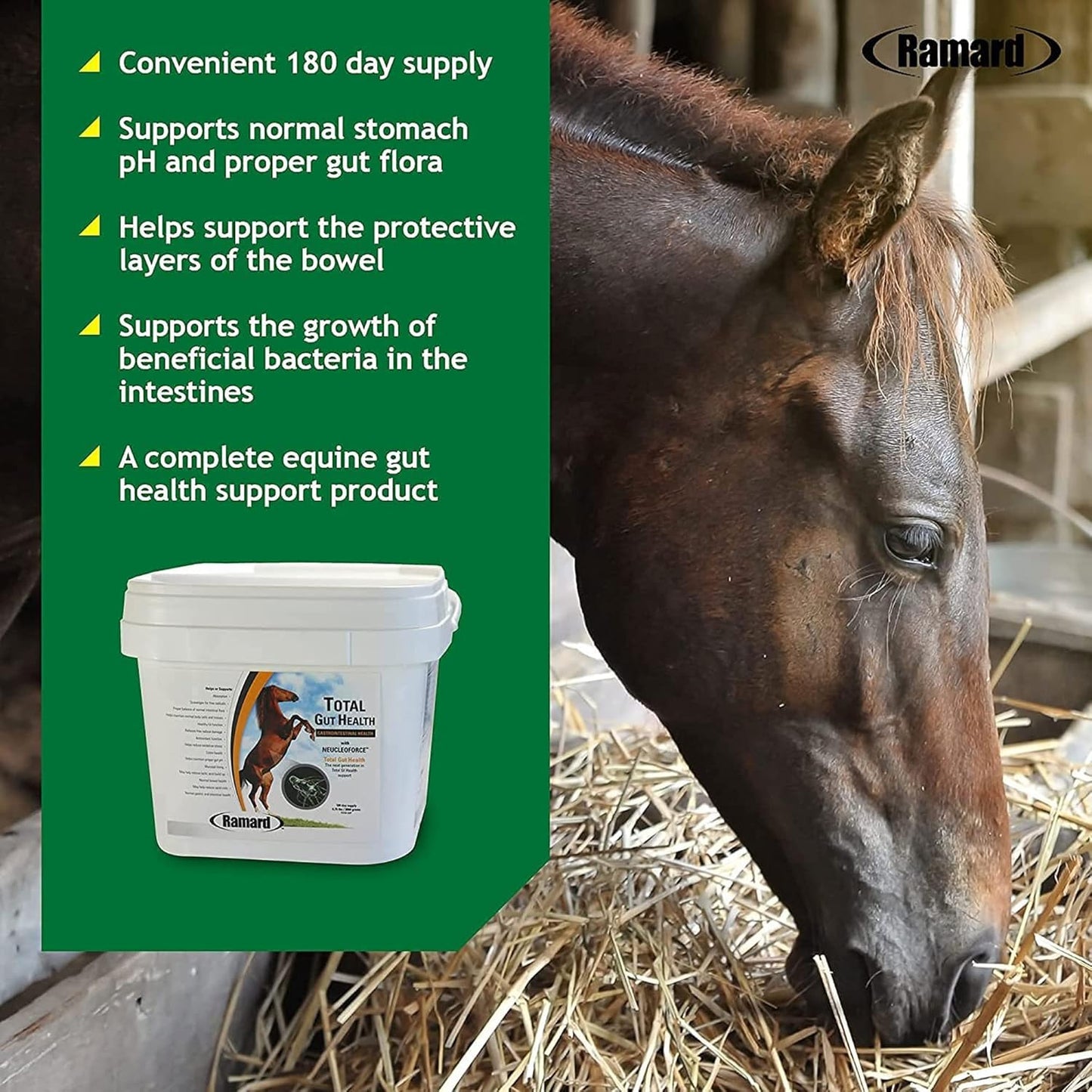 Equine Digestive Support Supplement for Horses - Total Gut Health, Probiotics, Vitamins, Gastric Relief - 6.75 lbs, 180-Day Supply
