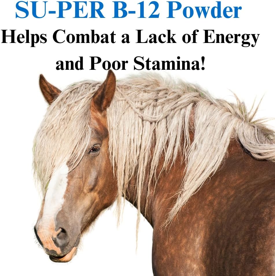 Equine Energy Supplement with B-12 & Folic Acid - 6 Month Supply - 12.5 lb Powder