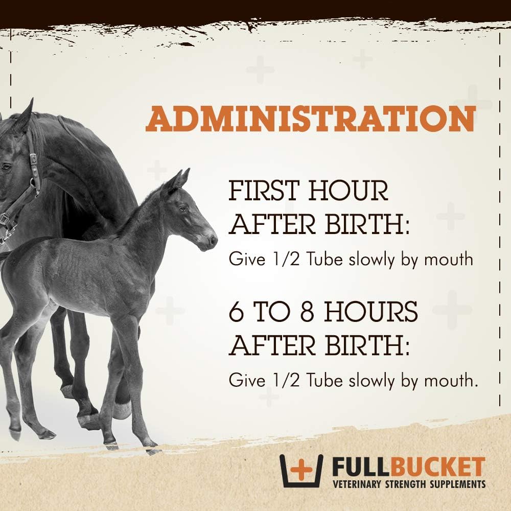 Equine Foal Kickstart Paste for Newborn Foals - Supports Healthy Immune & Digestive System on Day 1, 1 Tube