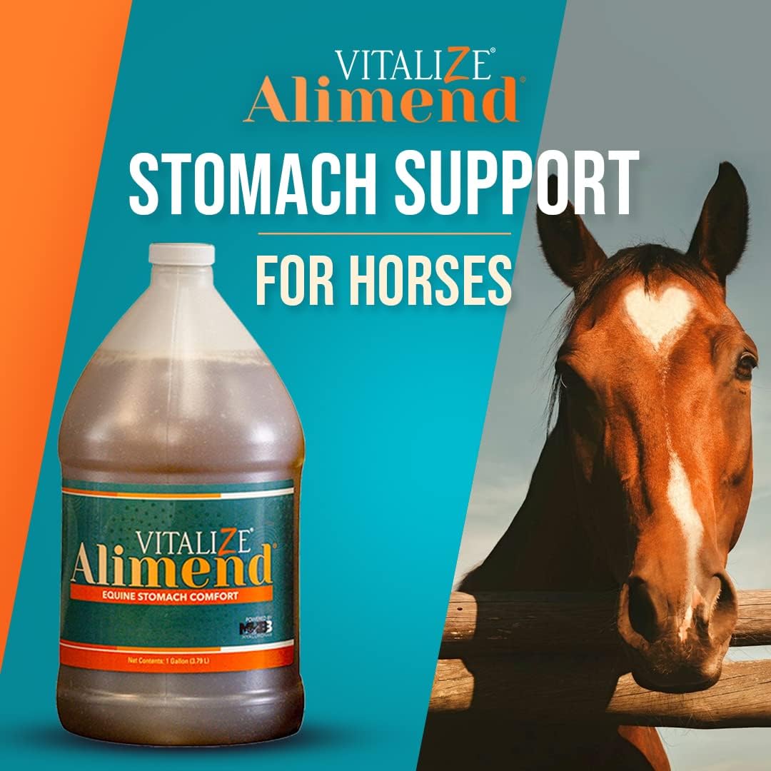 Equine Gastric Support Solution - Vitalize Alimend Stomach Supplement for Horses - 64 fl oz