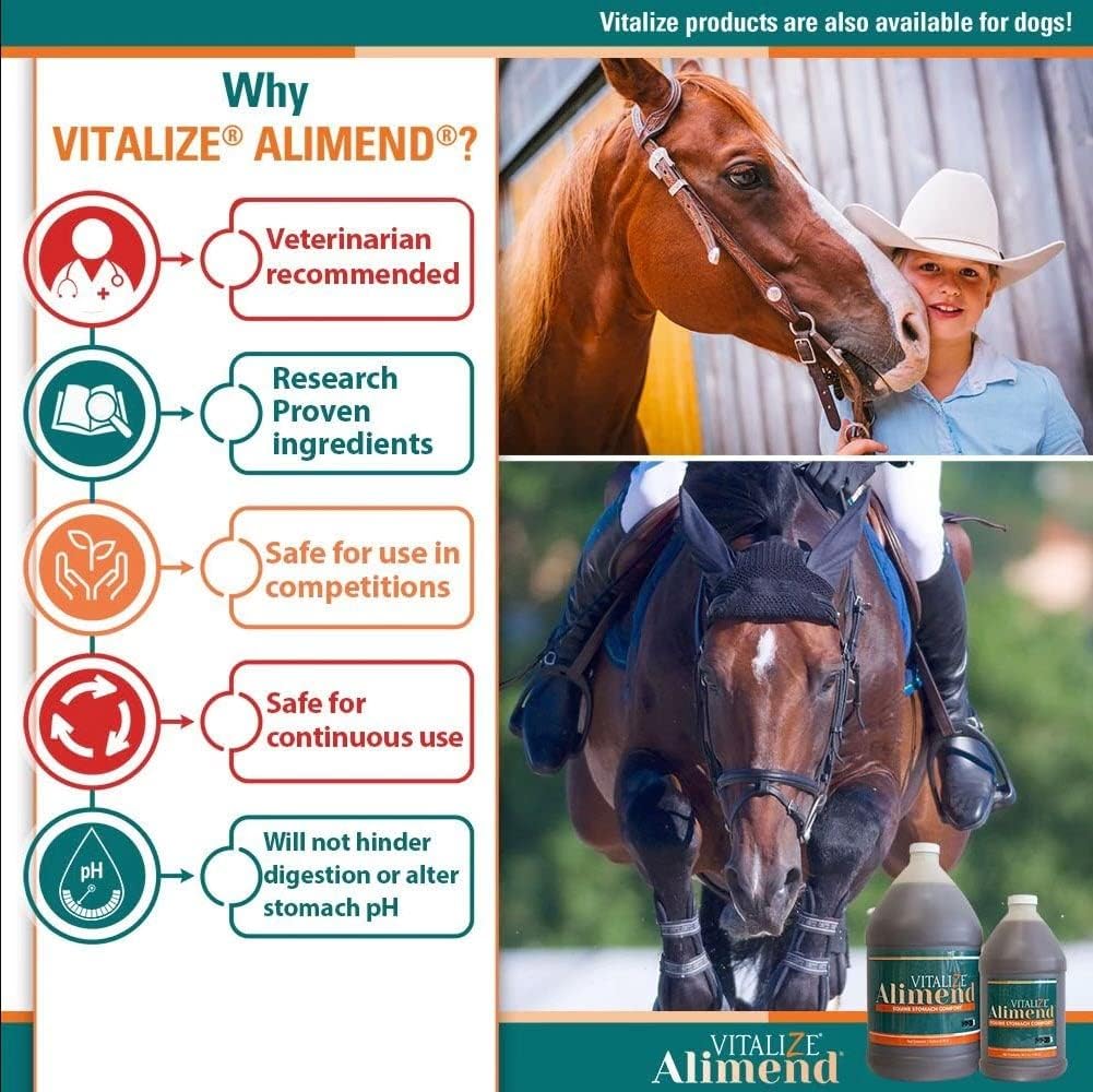 Equine Gastric Support Solution - Vitalize Alimend Stomach Supplement for Horses - 64 fl oz