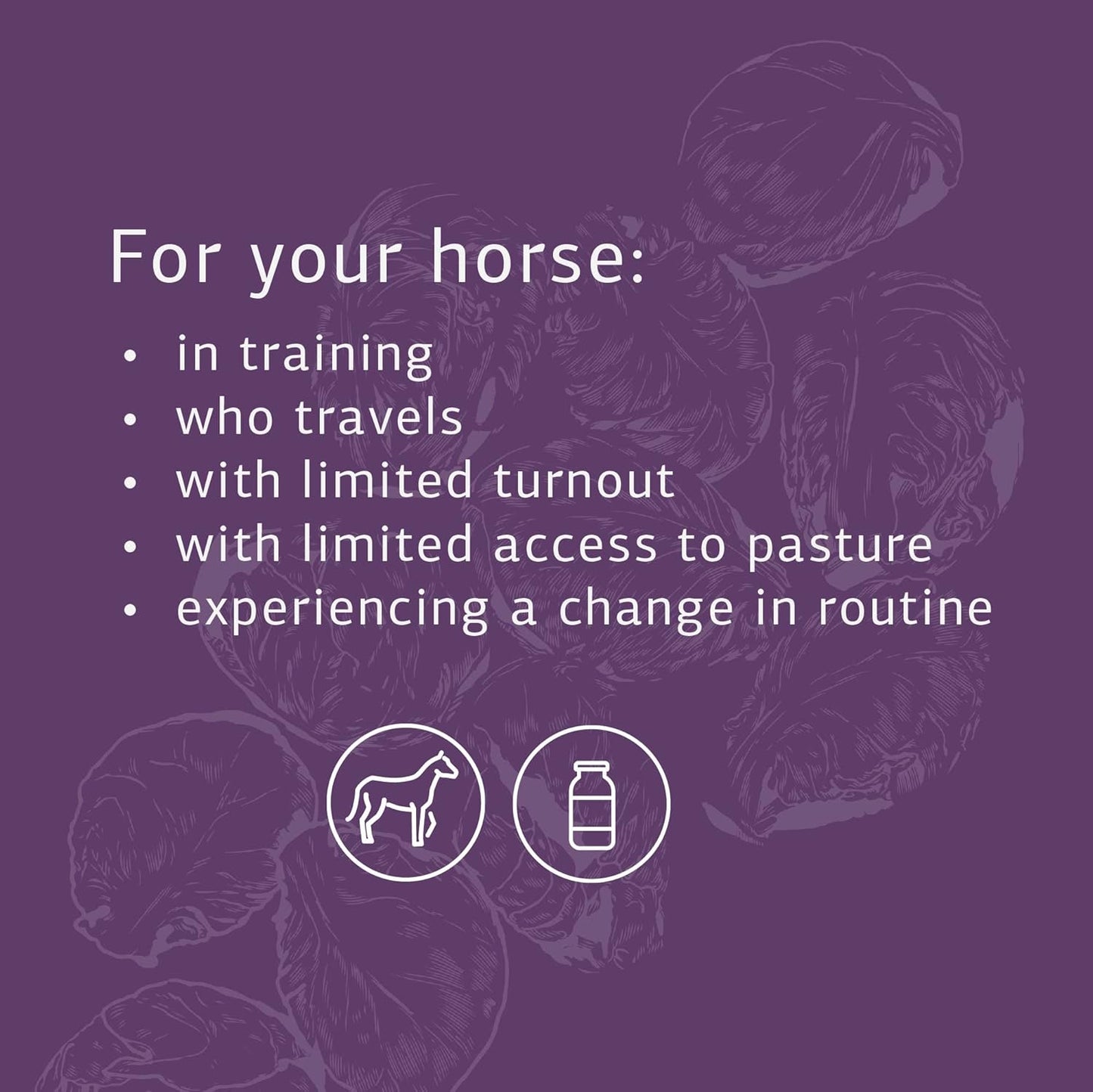 Equine GI Support Powder Supplement - Whole Food Digestion Formula for Horses - 850g - Standard Process Inc.