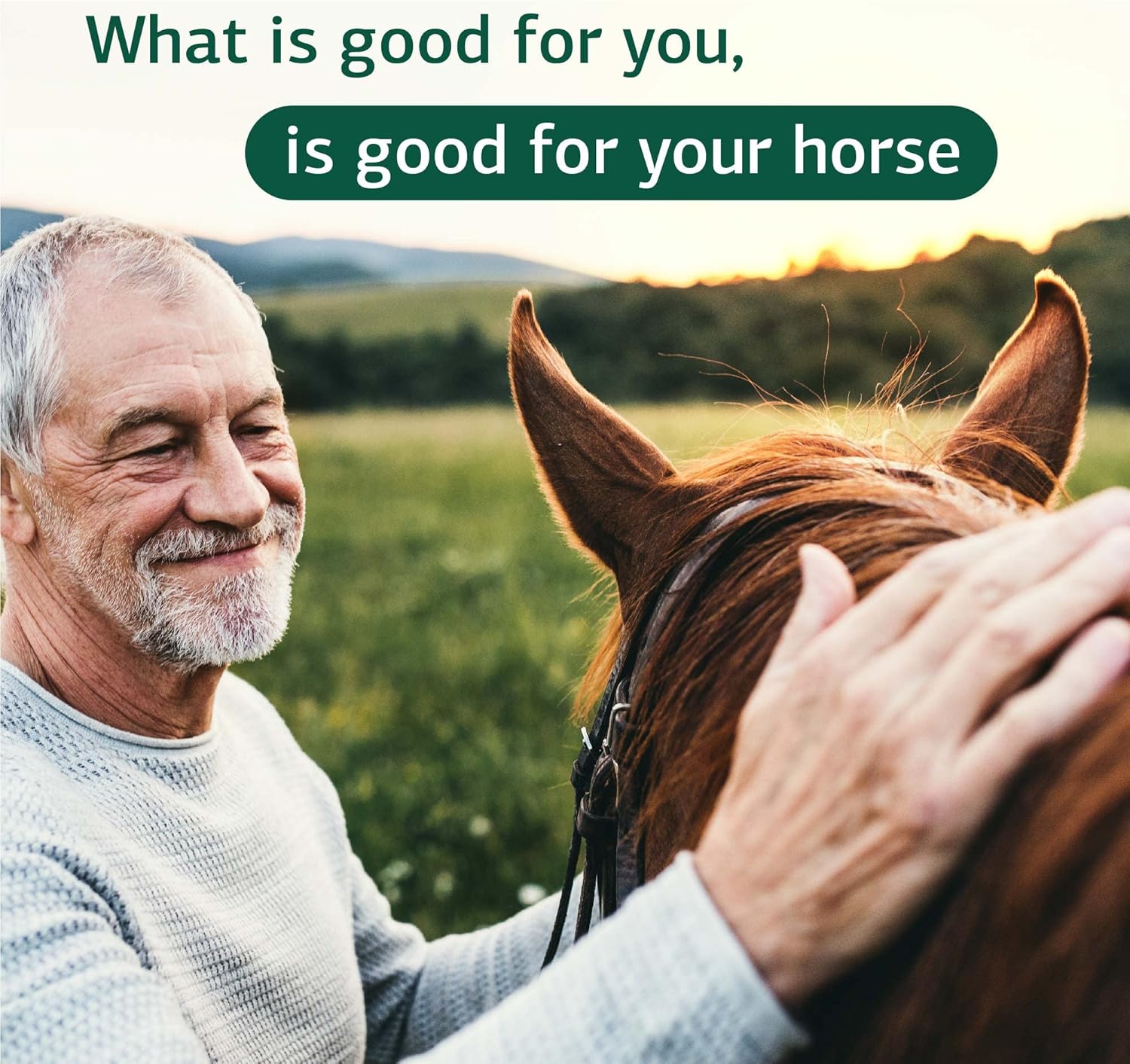 Equine GI Support Powder Supplement - Whole Food Digestion Formula for Horses - 850g - Standard Process Inc.