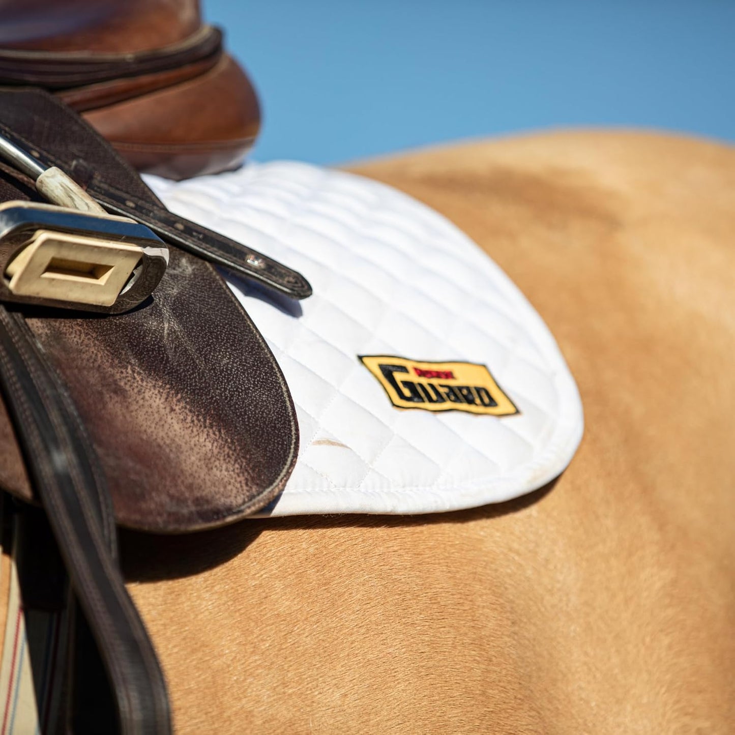 Equine Gut Guard 10 lb Horse Supplement - Probiotic & Prebiotic Formula for Gut Health