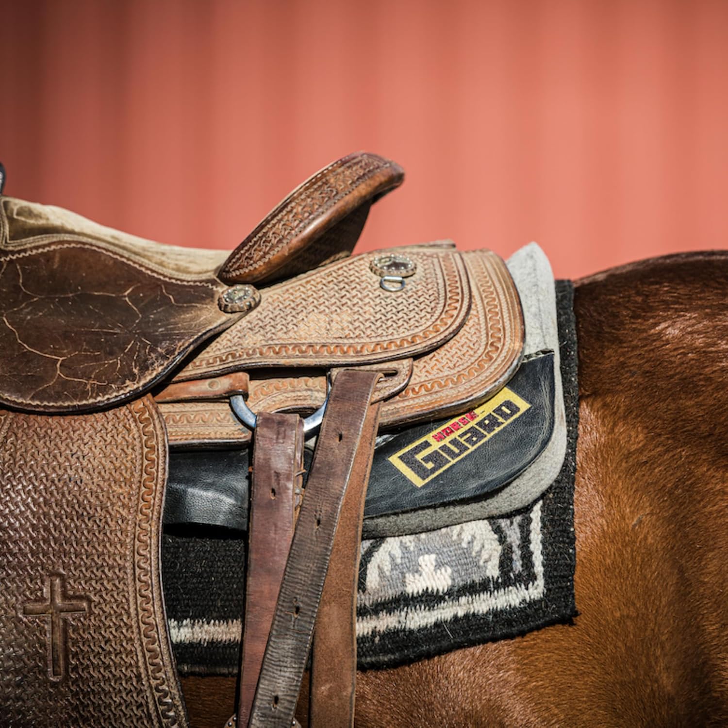 Equine Gut Guard 10 lb Horse Supplement - Probiotic & Prebiotic Formula for Gut Health