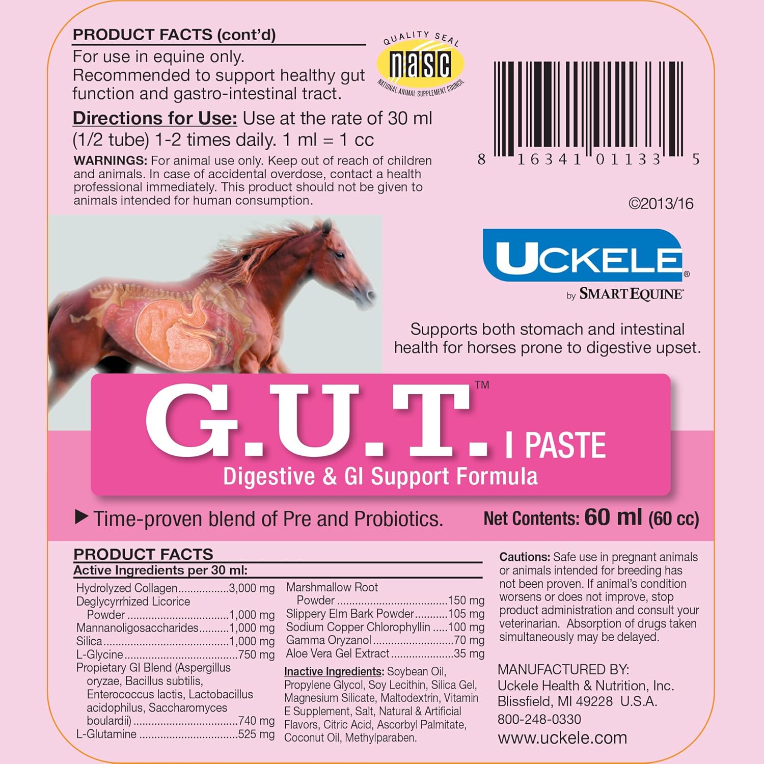 Equine Gut Health Paste with Probiotics & Prebiotics for Horse Digestive Support