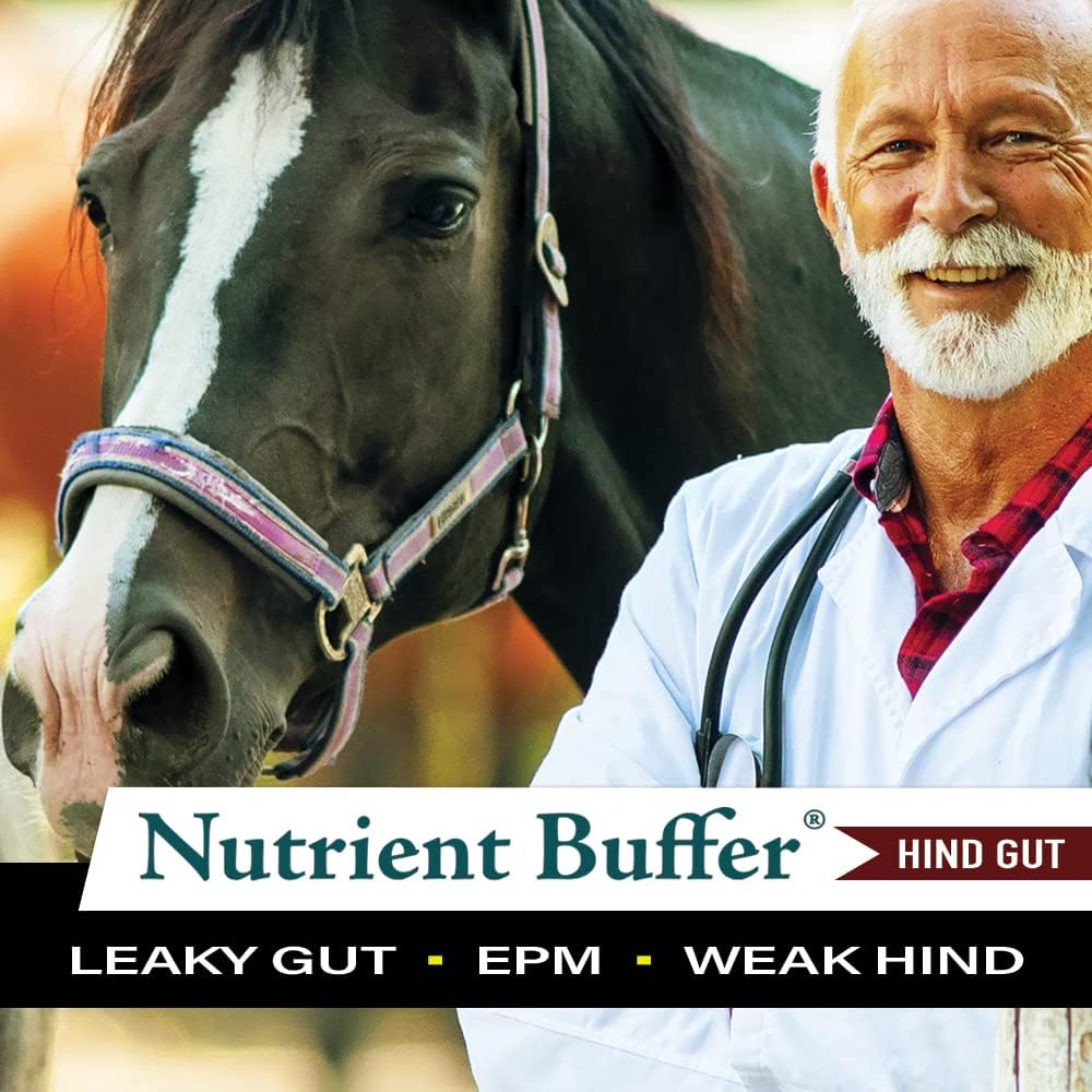Equine Hind Gut Digestive Support Formula - Nutrient Buffer HG for Lower Gastric Health in Horses