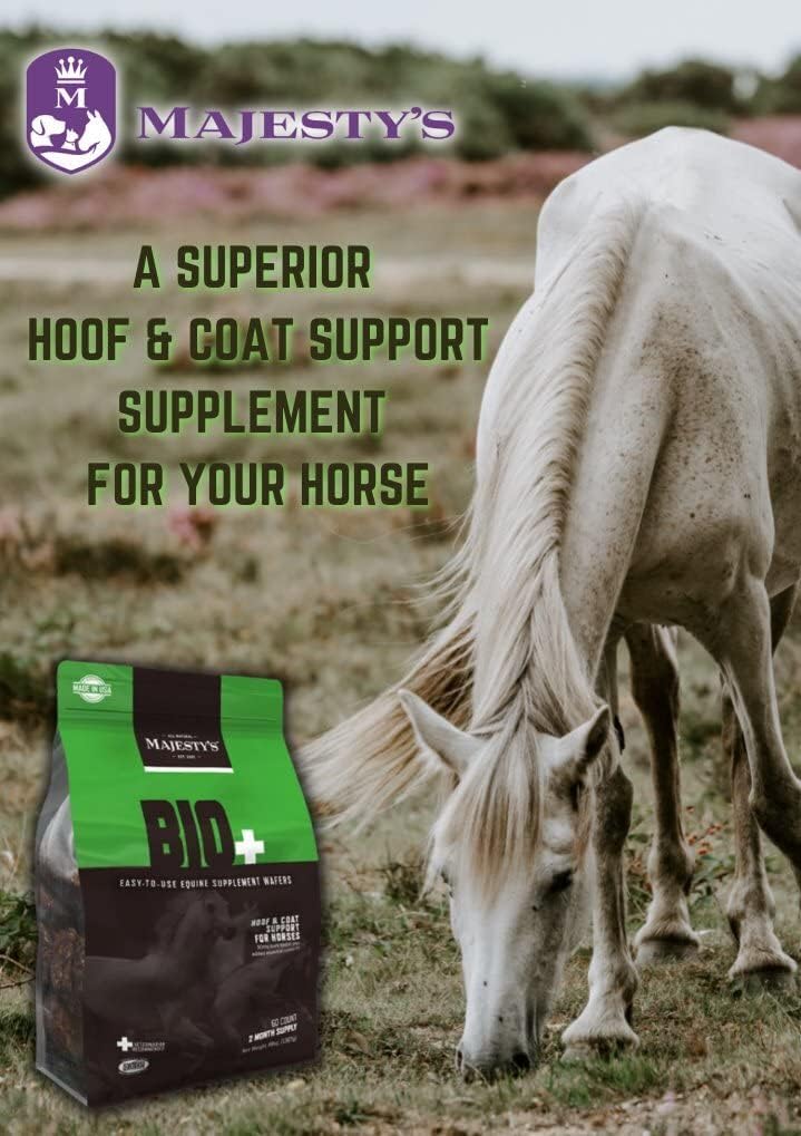 Equine Hoof and Coat Support Supplement - Majesty's BIO+ Biotin Wafers with Copper, Zinc, Lysine, Methionine - 60 count