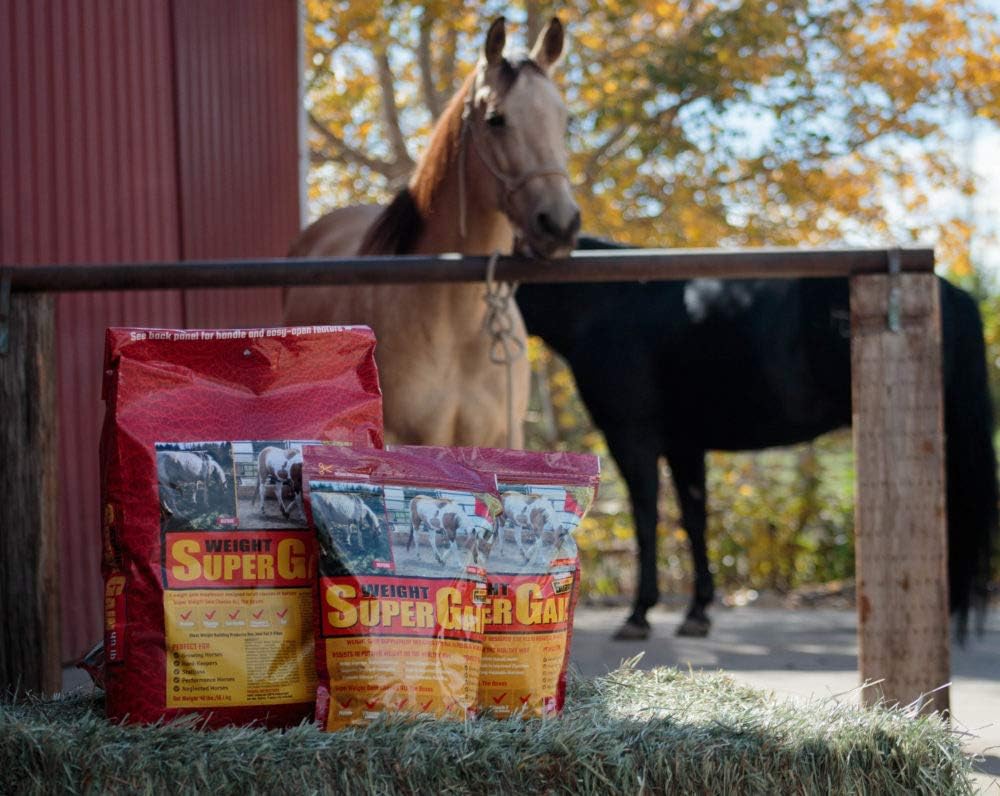 Equine Horse Guard Super Weight Gain Supplement with Vitamins, Minerals, and Probiotics - 40 lb Pack