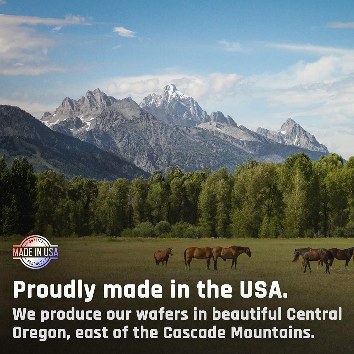 Equine Majesty Kalm Wafers - Promotes Balanced Horse Behavior & Healthy Nervous System (2 Pack, 120 Count)