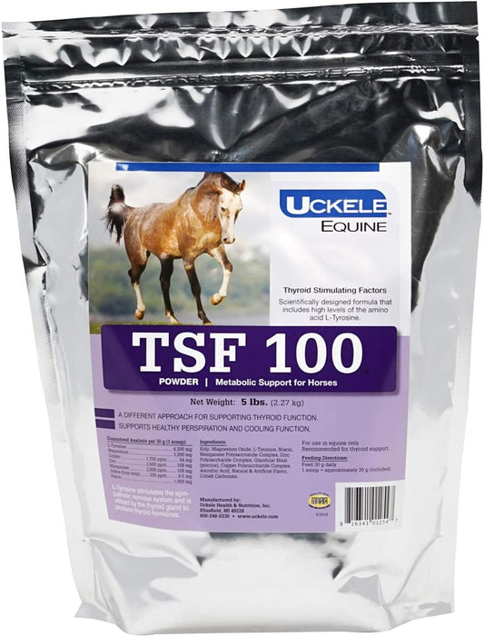 Equine Metabolic Support Powder Supplement - 5 lb Equine Mineral Supplement - Uckele TSF 100 Horse