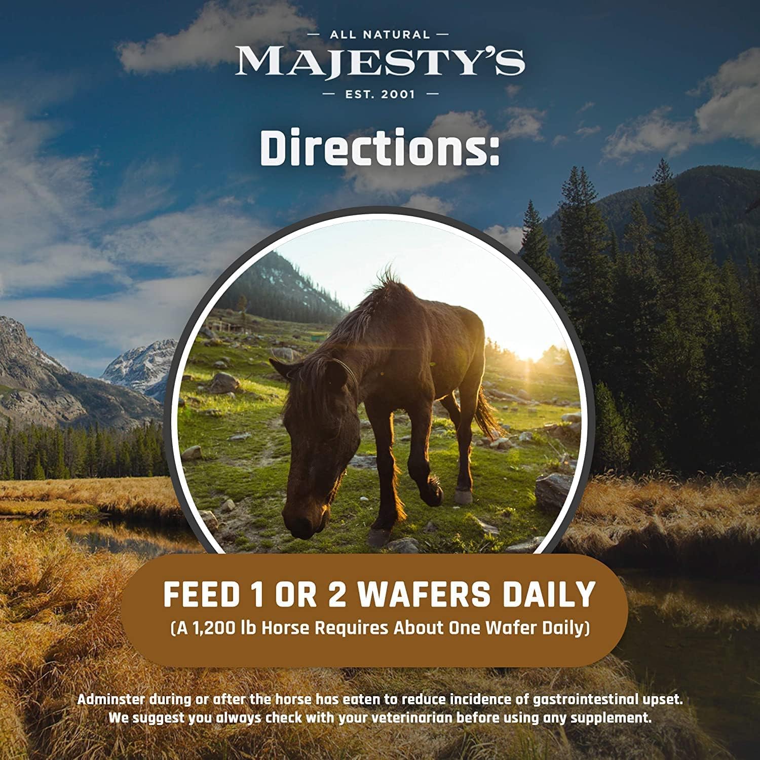 Equine Skin, Coat, and Immune Support Supplement - Majesty's Omega Wafers - Omega 3, 6, 9, and Biotin - 60 Count (2 Month Supply)