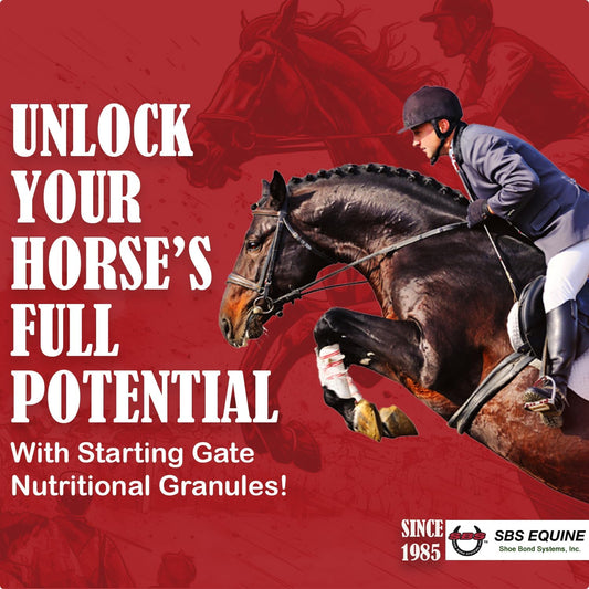 Equine Starting Gate Granules: Calming Horse Supplement for Gastric Ulcers (5-Gallon Pail, 15-Week Supply)