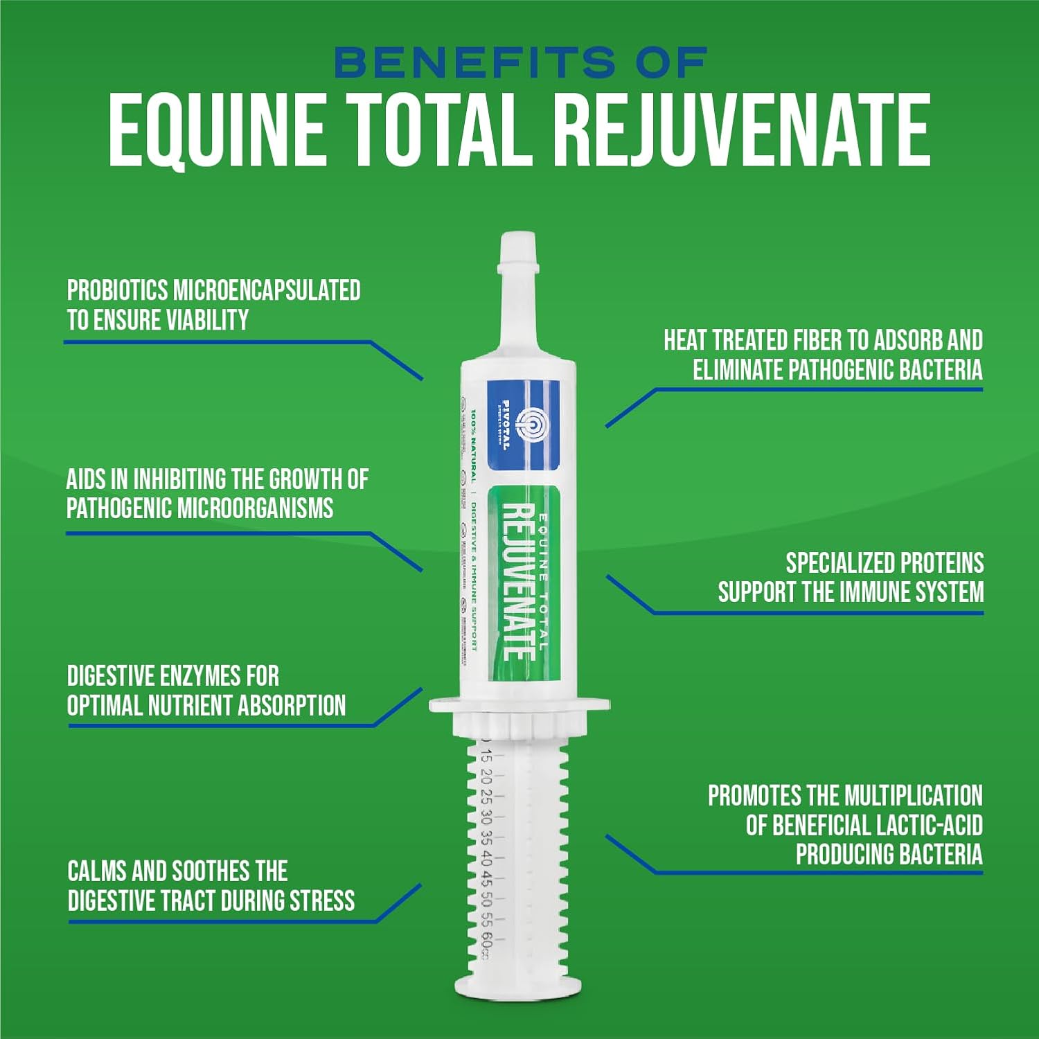 Equine Total Rejuvenate Oral Paste for Digestive & Immune Support (60g Syringe) - Horse Supplement for Digestion & Bacteria Elimination