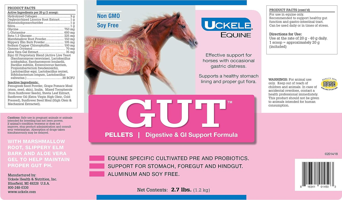Equine Vitamin and Mineral Supplement for Healthy Digestion - Uckele Gut Pellets - 2.7 lb