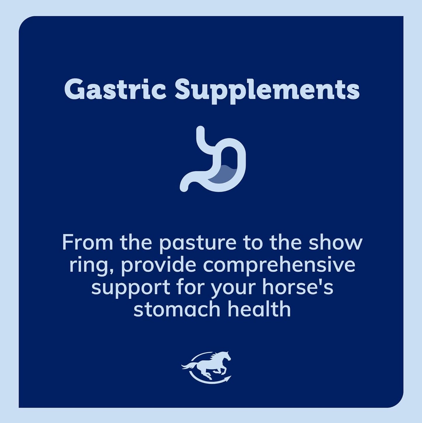 Equine Vitamin & Mineral Supplement - Uckele Gut Horse Supplement - 2lb Size