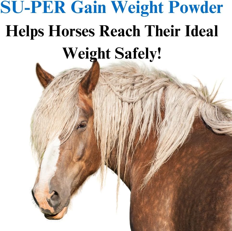 Equine Weight Gain Supplement - Promotes Lean Muscle & Digestion - 10lb Supply for Horses
