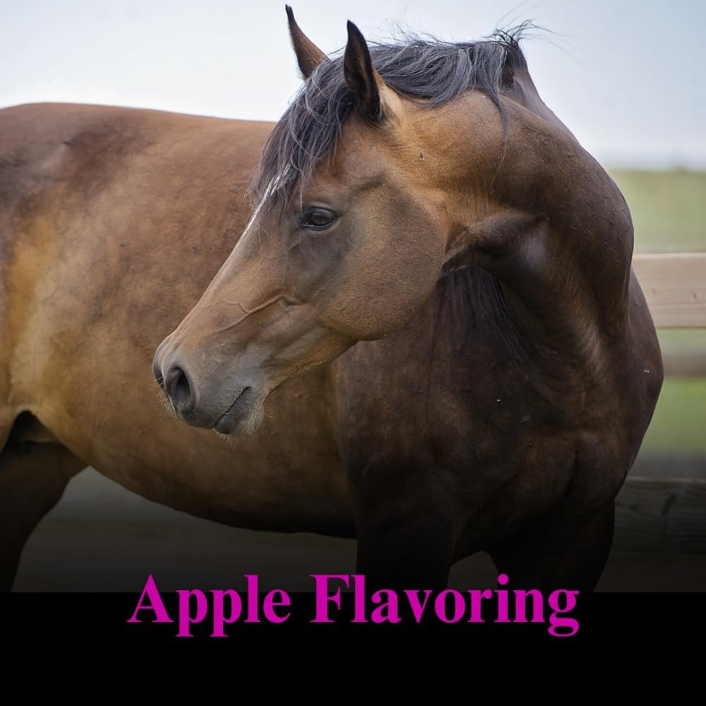 Equine Weight Gain Supplement - Promotes Lean Muscle & Digestion - 10lb Supply for Horses
