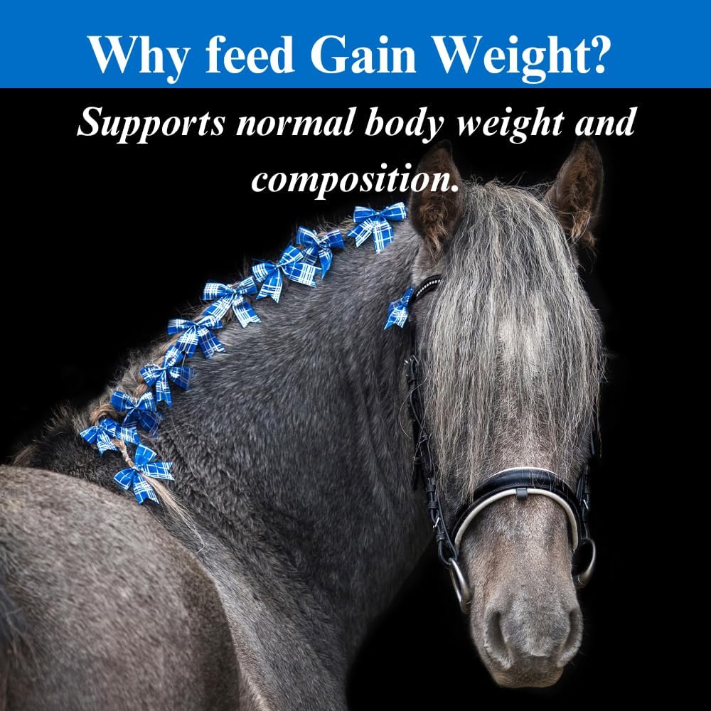 Equine Weight Gain Supplement - Promotes Lean Muscle & Digestion - 10lb Supply for Horses