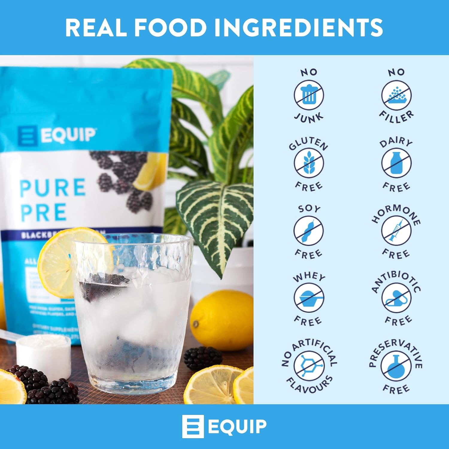 Equip Foods Pure Pre-Workout Powder with Green Tea Caffeine & Essential Nutrients - Boost Workouts Naturally - 30 Servings, BlackBerry Lemon Flavor