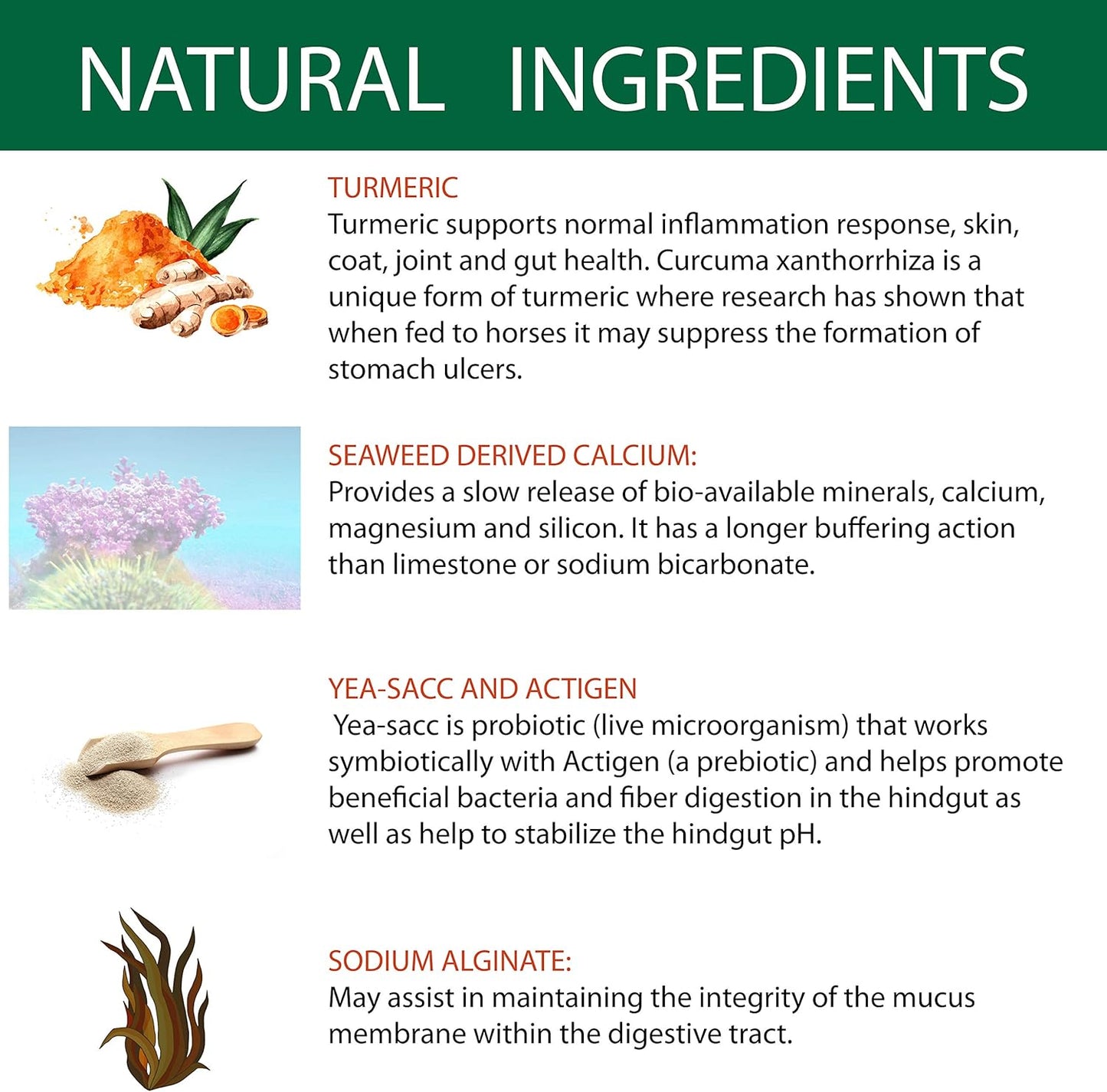 Equitec GastroBuf Horse Supplement - Supports Normal Stomach pH and Bowel Health - with Turmeric - 3.3 lb