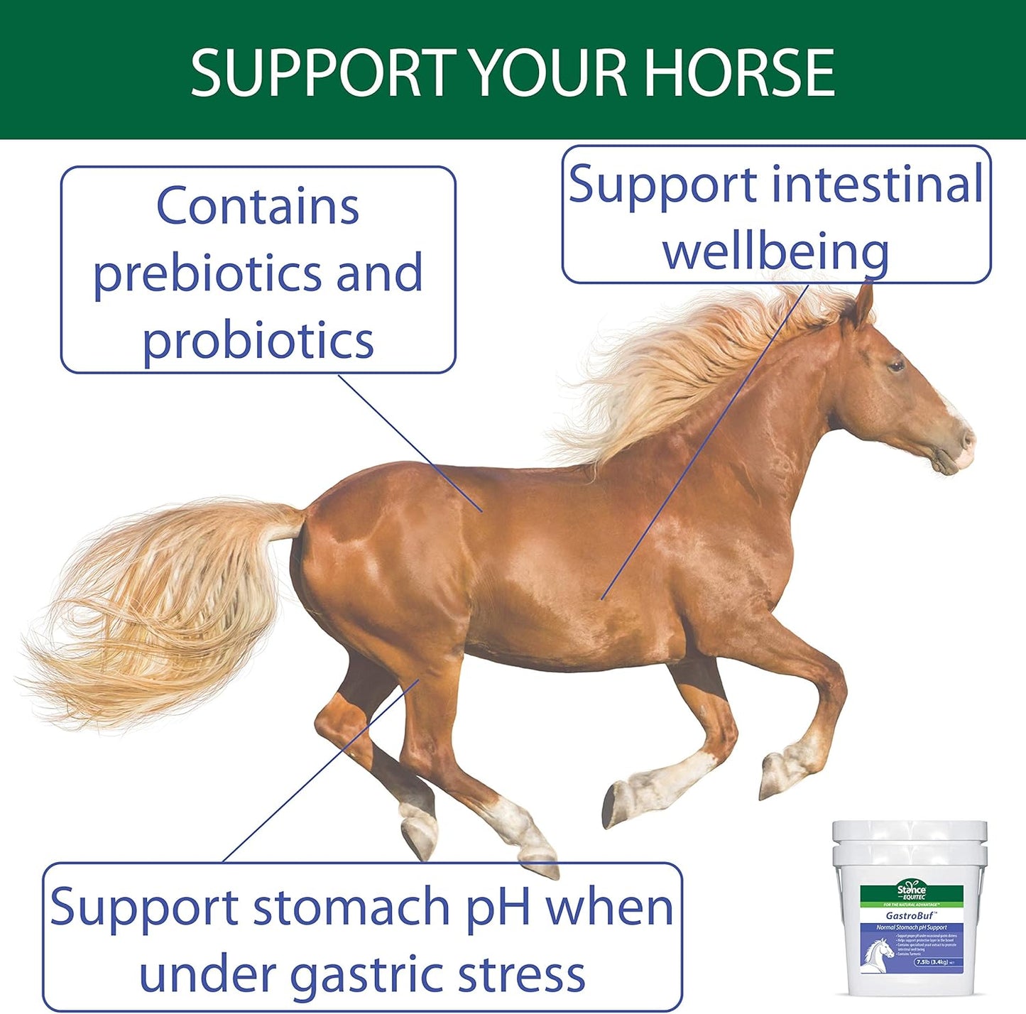 Equitec GastroBuf Horse Supplement - Supports Normal Stomach pH and Bowel Health - with Turmeric - 3.3 lb