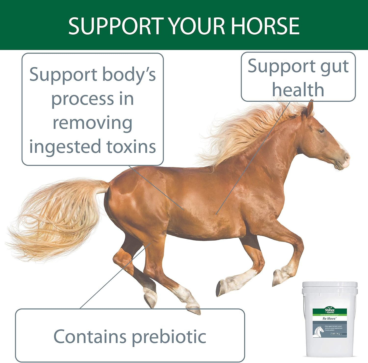 Equitec Re Move Horse Supplement with Probiotics for Natural Toxin Removal - 8.8 lb