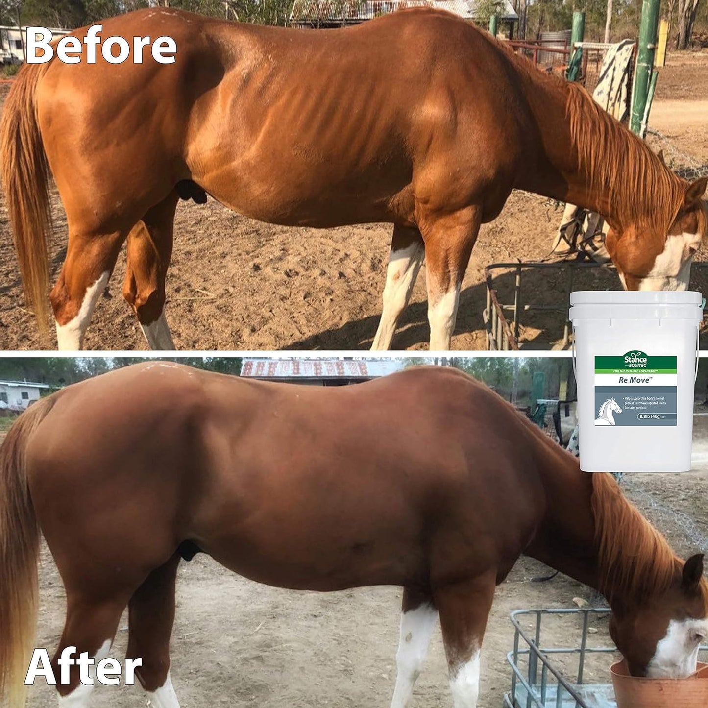 Equitec Re Move Horse Supplement with Probiotics for Natural Toxin Removal - 8.8 lb