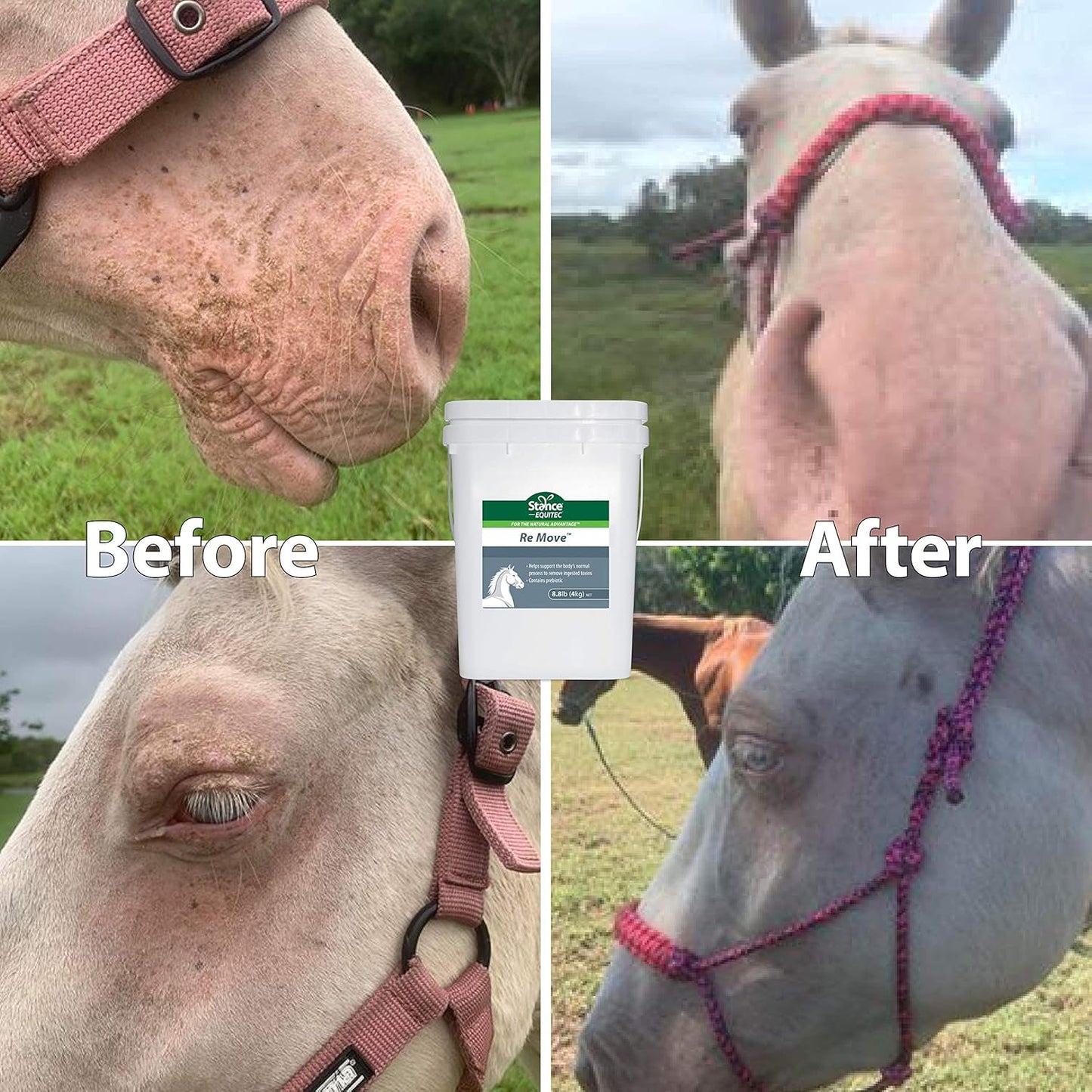 Equitec Re Move Horse Supplement with Probiotics for Natural Toxin Removal - 8.8 lb