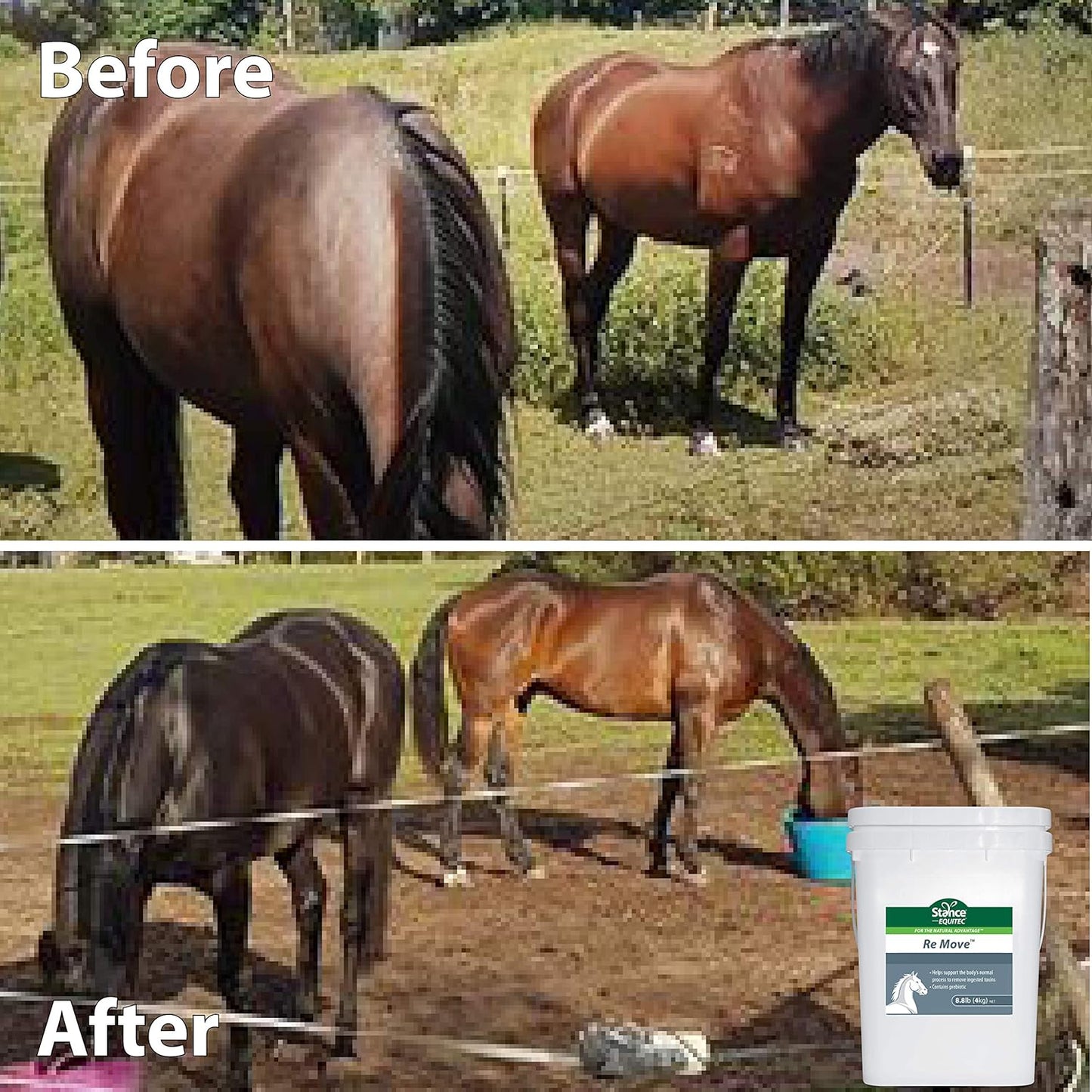 Equitec Re Move Horse Supplement with Probiotics for Natural Toxin Removal - 8.8 lb