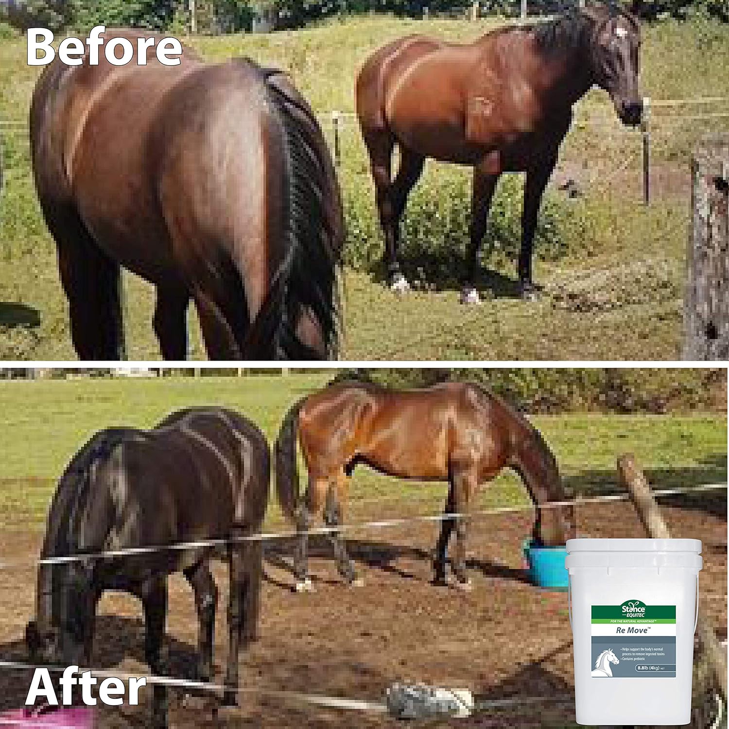 Equitec Re Move Horse Supplement with Probiotics for Natural Toxin Removal - 8.8 lb