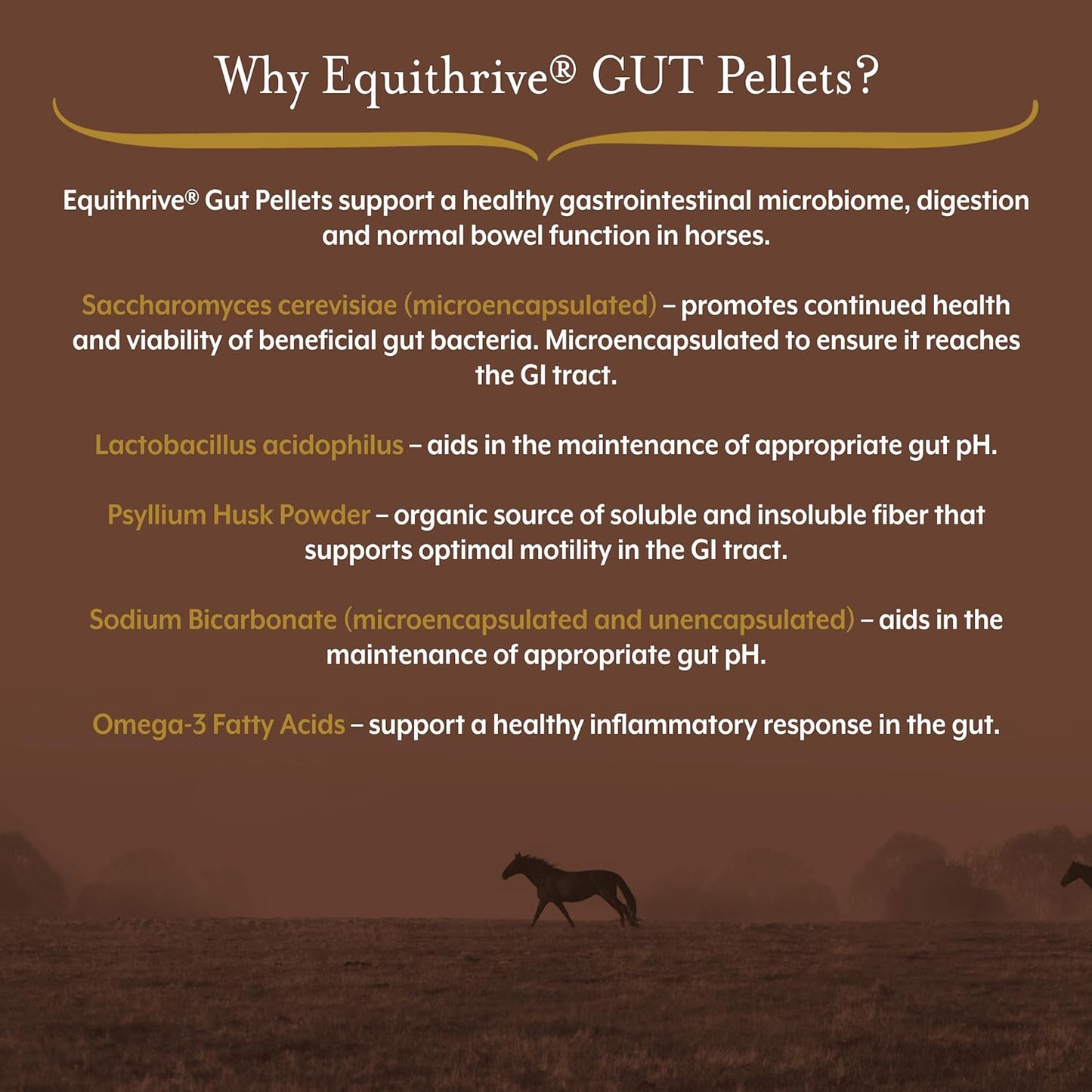 Equithrive Digestive Support Supplement for Horses with Probiotics, Psyllium, Sodium Bicarbonate, and Omega 3 - 3.3 lbs