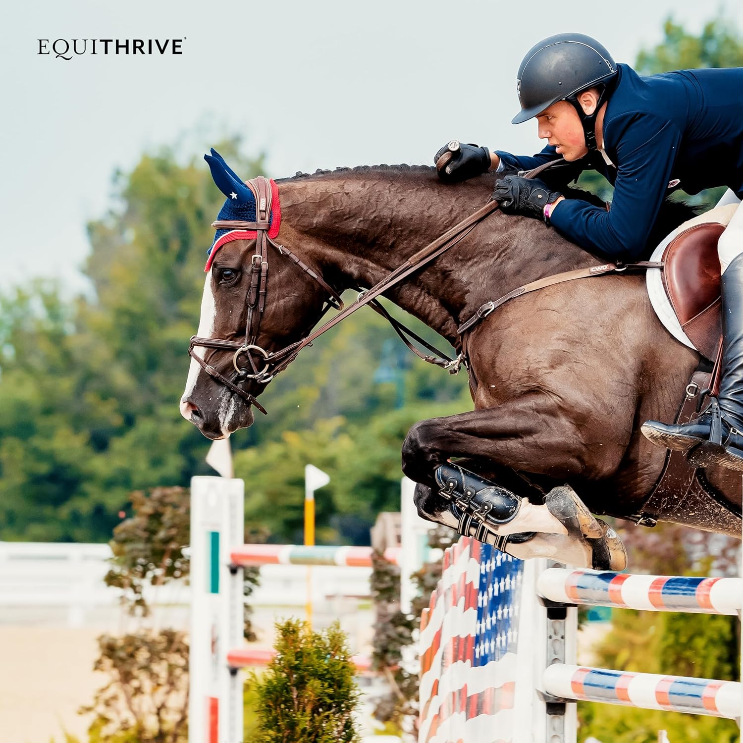 Equithrive Horse Electrolyte Pellets, Vitamins and Minerals Supplement - 10 lbs, 50 Day Supply for Training and Competition