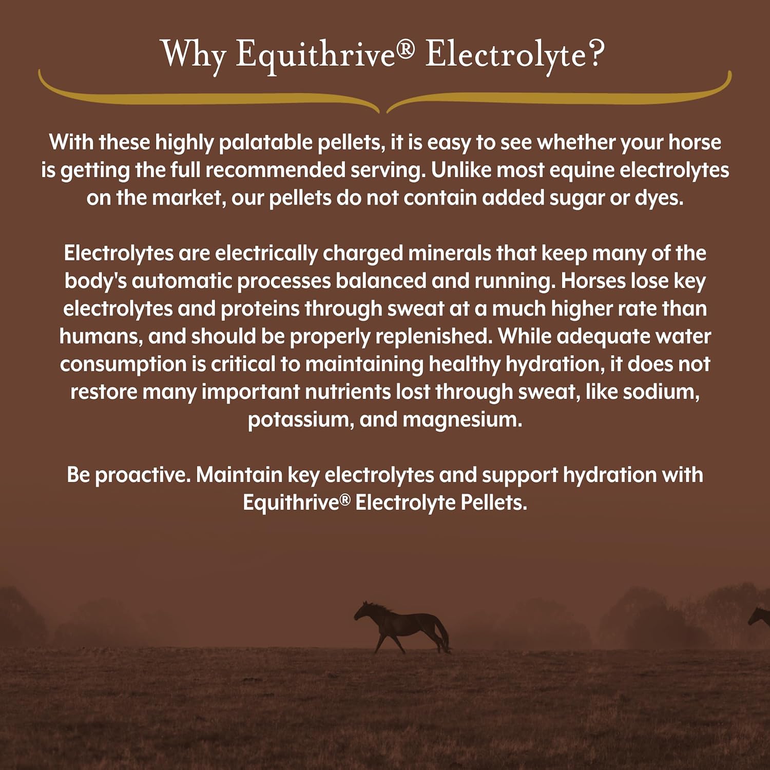 Equithrive Horse Electrolyte Pellets: Vitamins & Minerals Supplement, 4 lbs - 20 Day Supply for Training & Competition