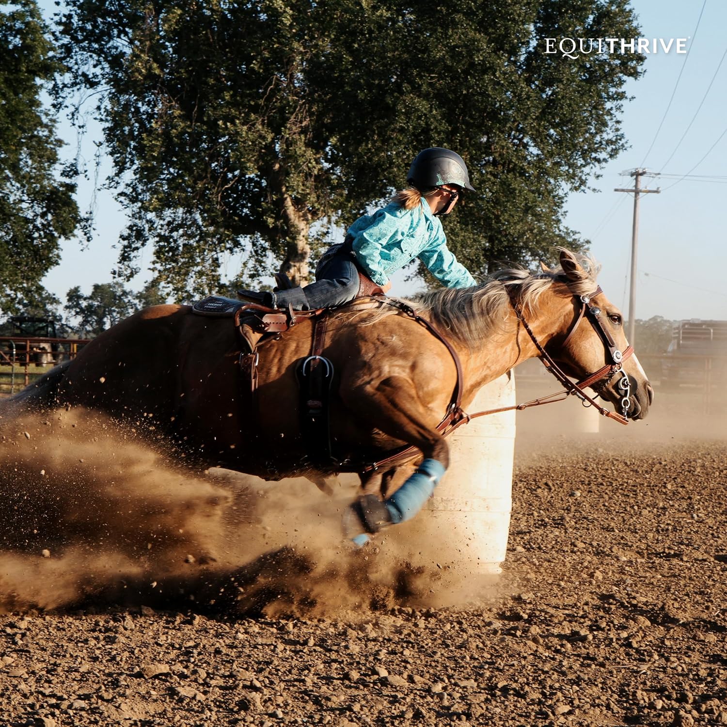 Equithrive Horse Electrolyte Pellets: Vitamins & Minerals Supplement, 4 lbs - 20 Day Supply for Training & Competition