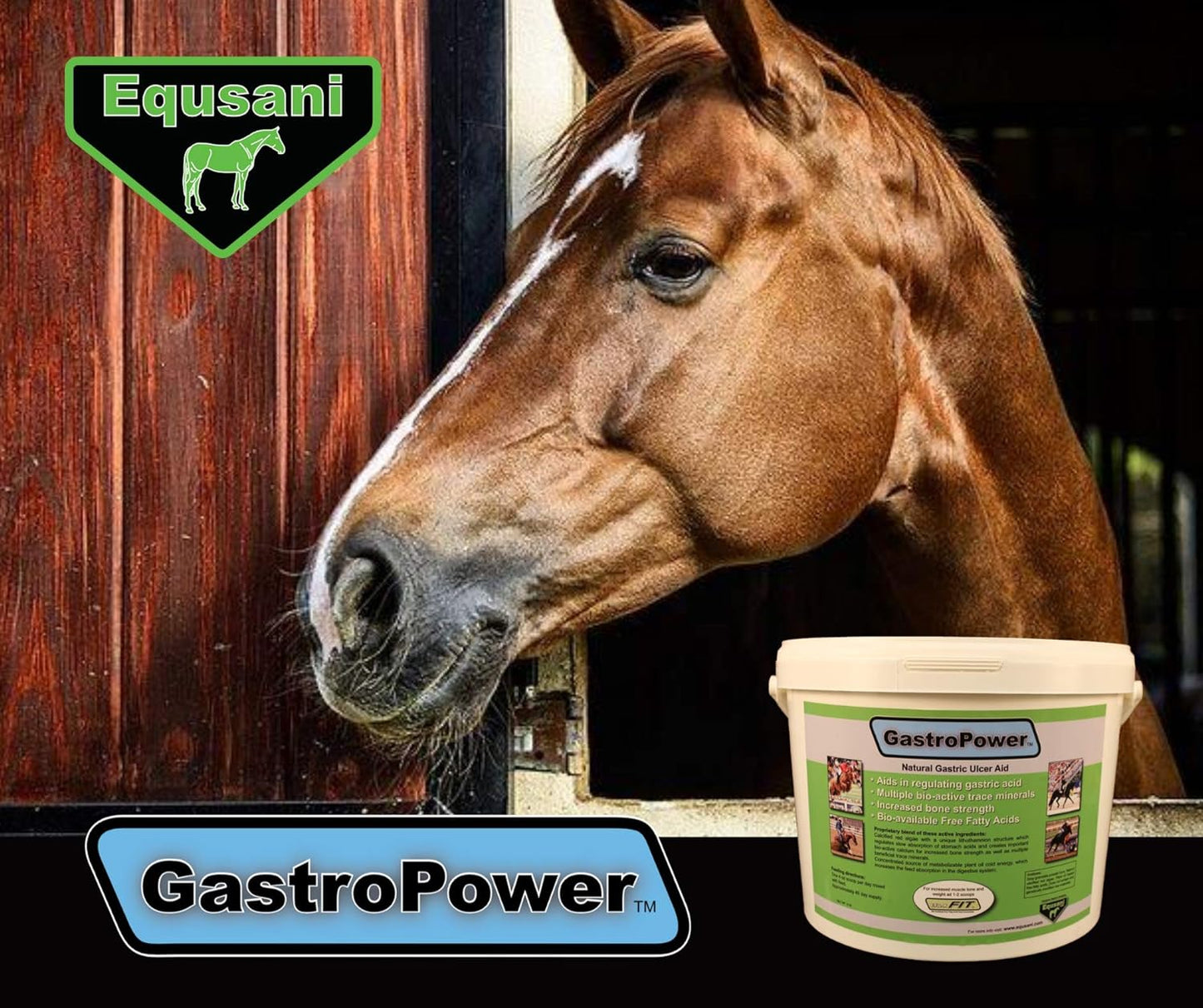 Equsani Inc Gastrointestinal Support Supplement for Digestive Health