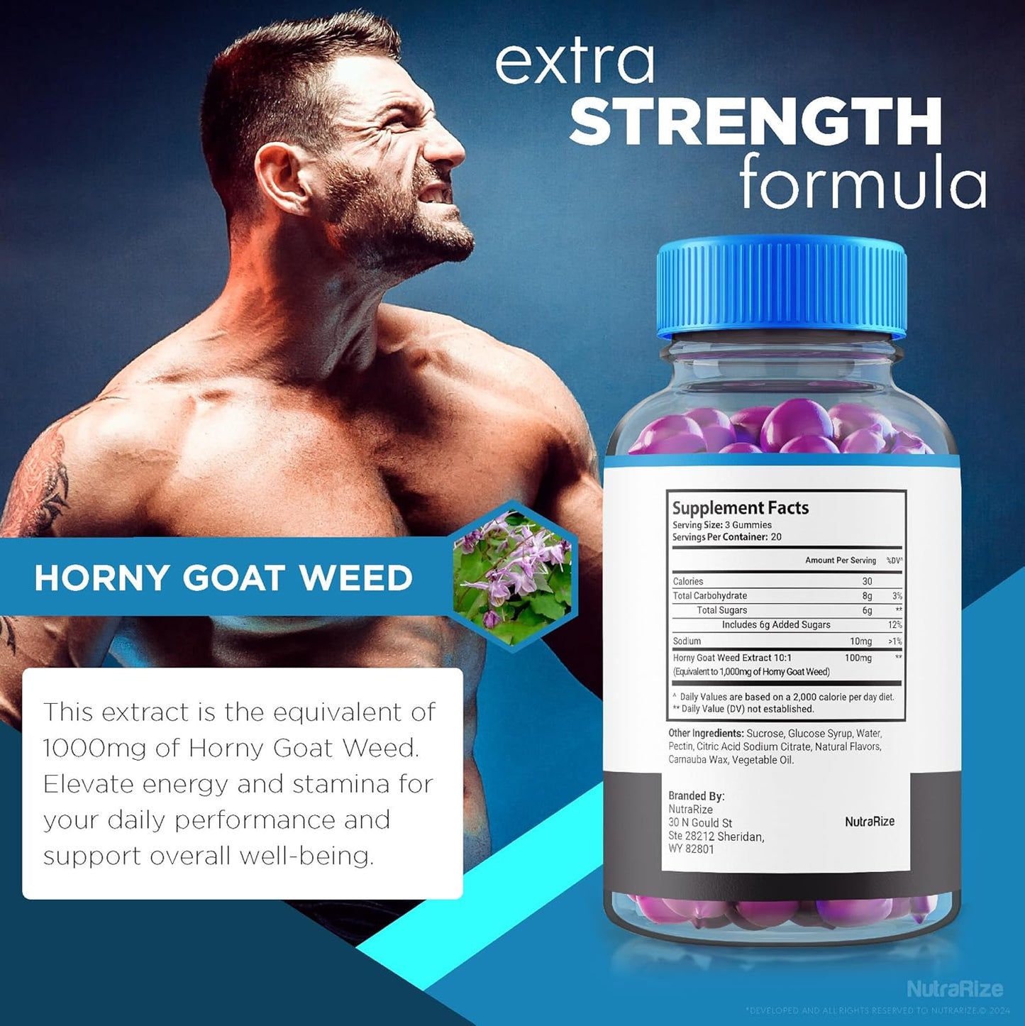 Erectifil Gummies 3 Pack - 1000 MG All-Natural Male Supplement for Health and Performance - 180 Gummies