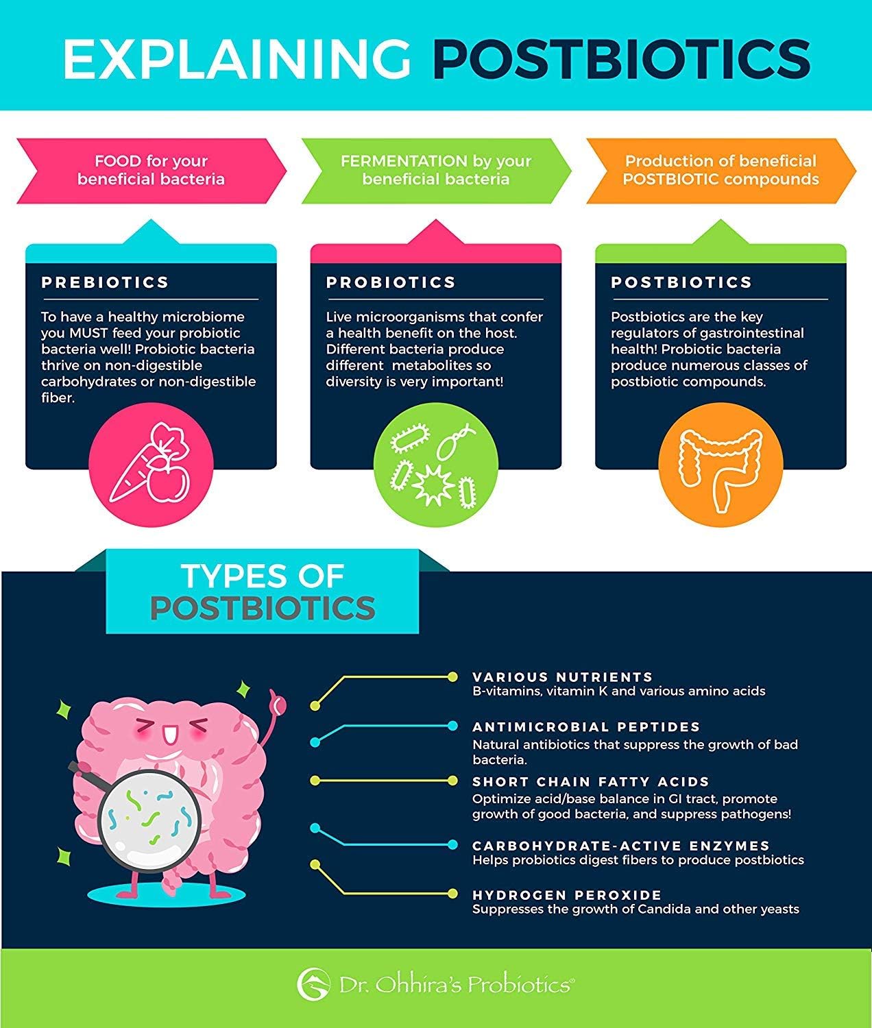 Essential Formulas Dr. Ohhira’s Probiotics Professional Formula - 5 Year Fermented Prebiotics, Live Probiotics, Postbiotic Metabolites - 30 Capsules