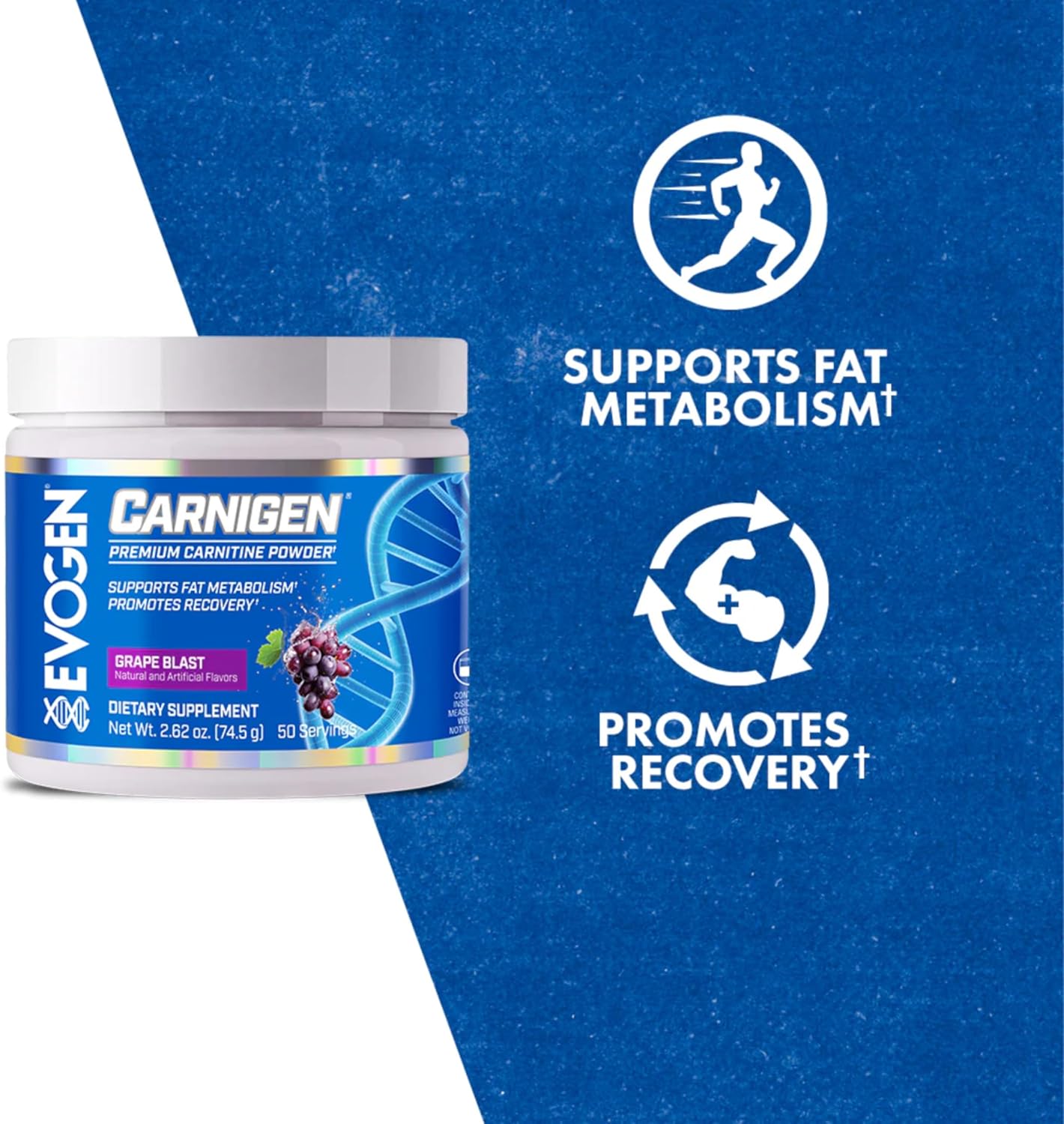 Evogen Carnigen Grape Flavor L-Carnitine Powder - Stimulant-Free Supplement for Fat Metabolism and Recovery - 50 Servings