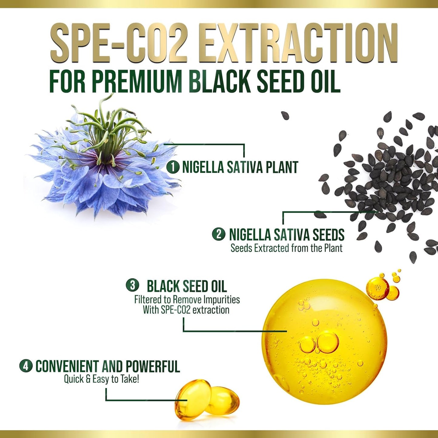 Extra Strength Cold Pressed Black Seed Oil Softgels - 1000mg Pure Nigella Sativa Supplement for Skin & Immune Support - Non-GMO Antioxidant - 180 Softgels