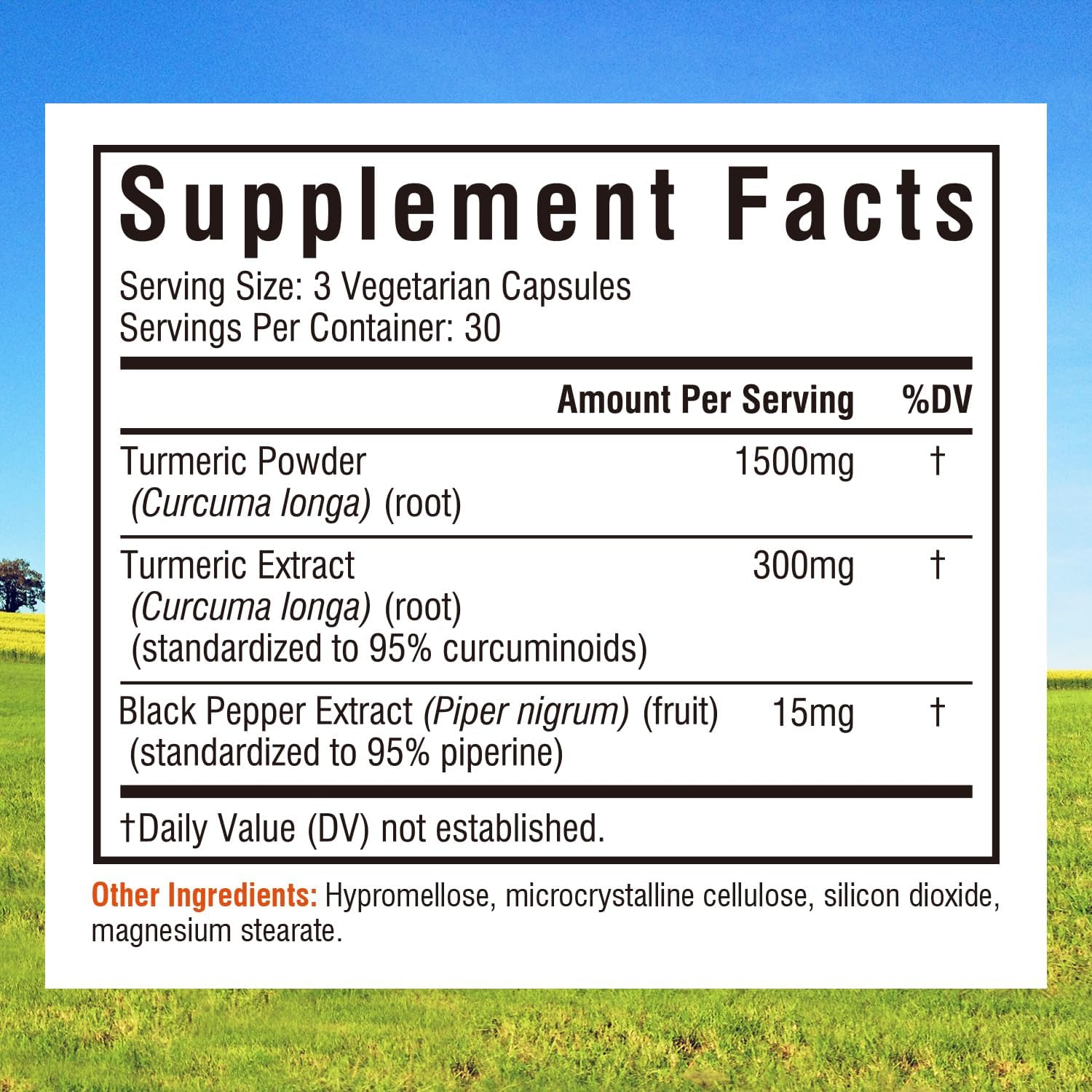 Extra Strength Turmeric Curcumin Supplement with Black Pepper Extract for Joint Support, Antioxidant, and Healthy Inflammatory Response - 90 Capsules