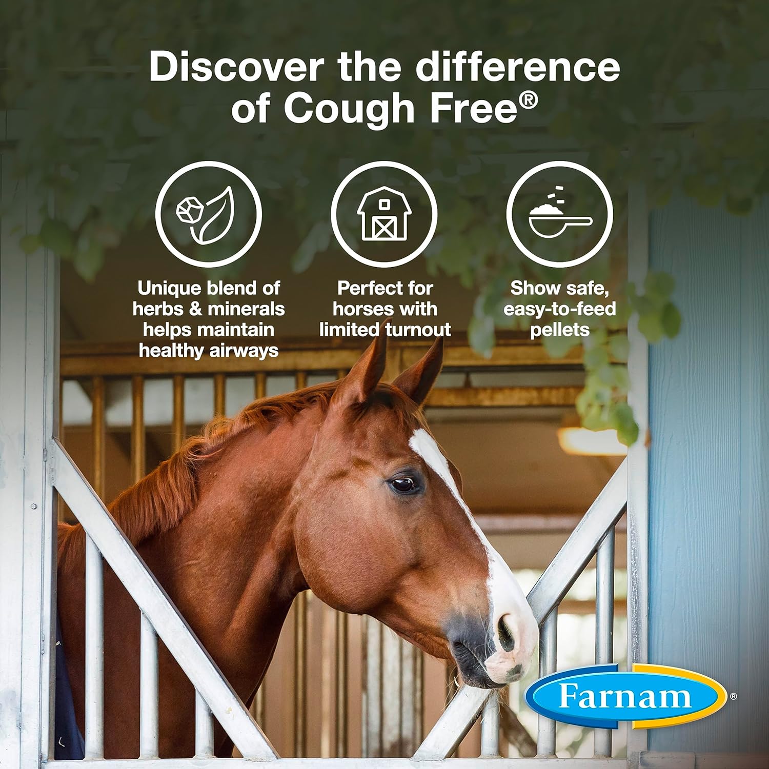 Farnam Cough Free Pellets, Horse Respiratory Supplement for Seasonal Allergies, 1.75 lb - 48 Day Supply